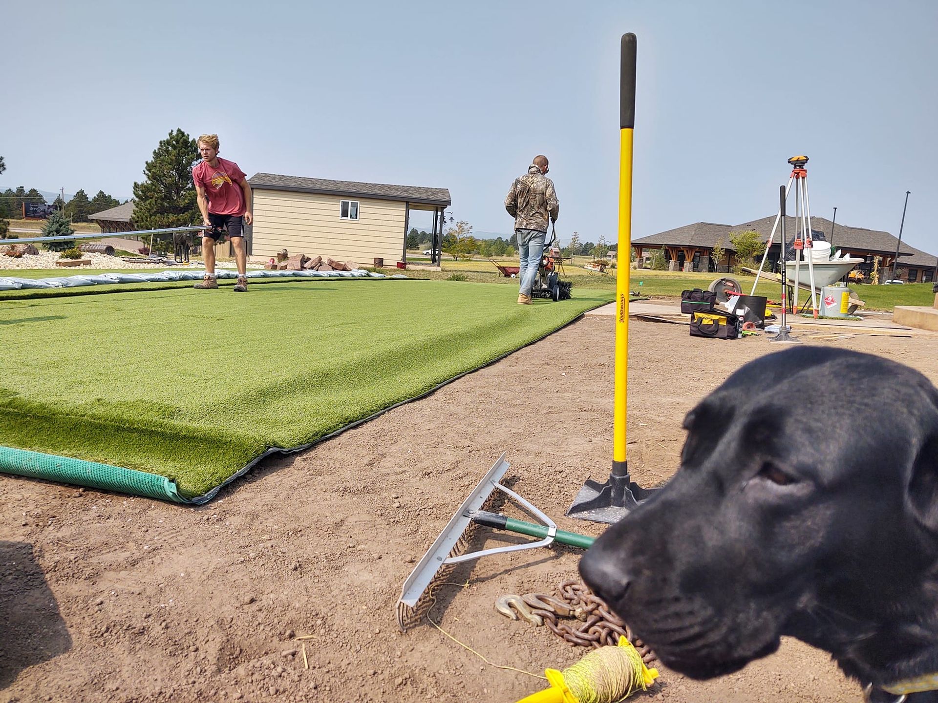 People installing artificial turf with a black dog in the foreground; outdoors on a sunny day