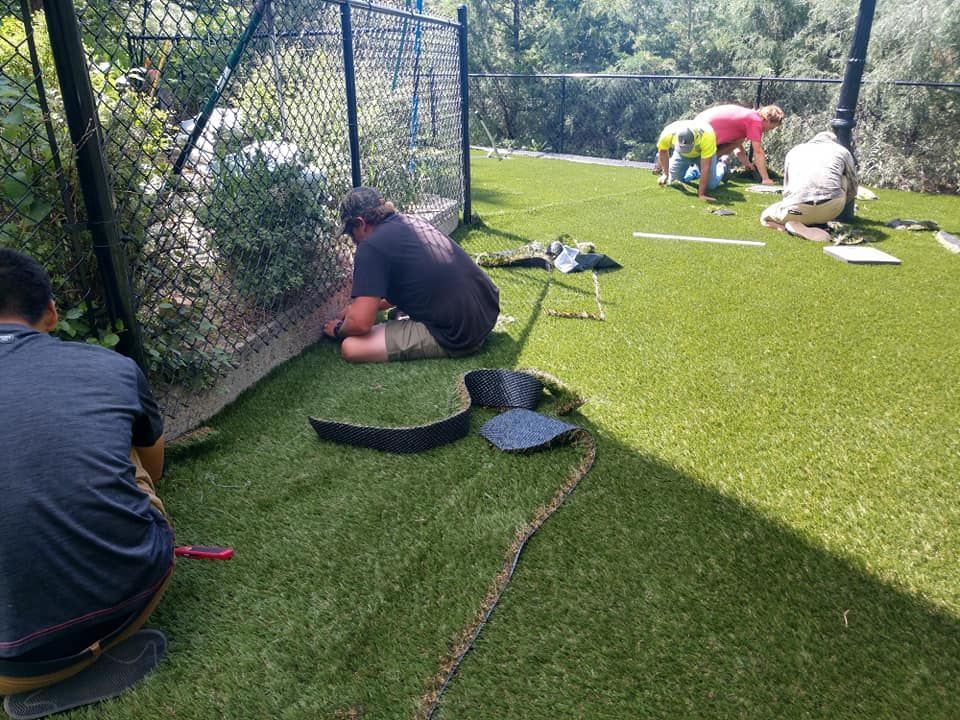 People installing artificial turf along a black fence