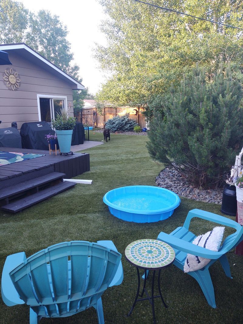 Backyard scene with pool, chairs, and a dog on the grass next to a house.