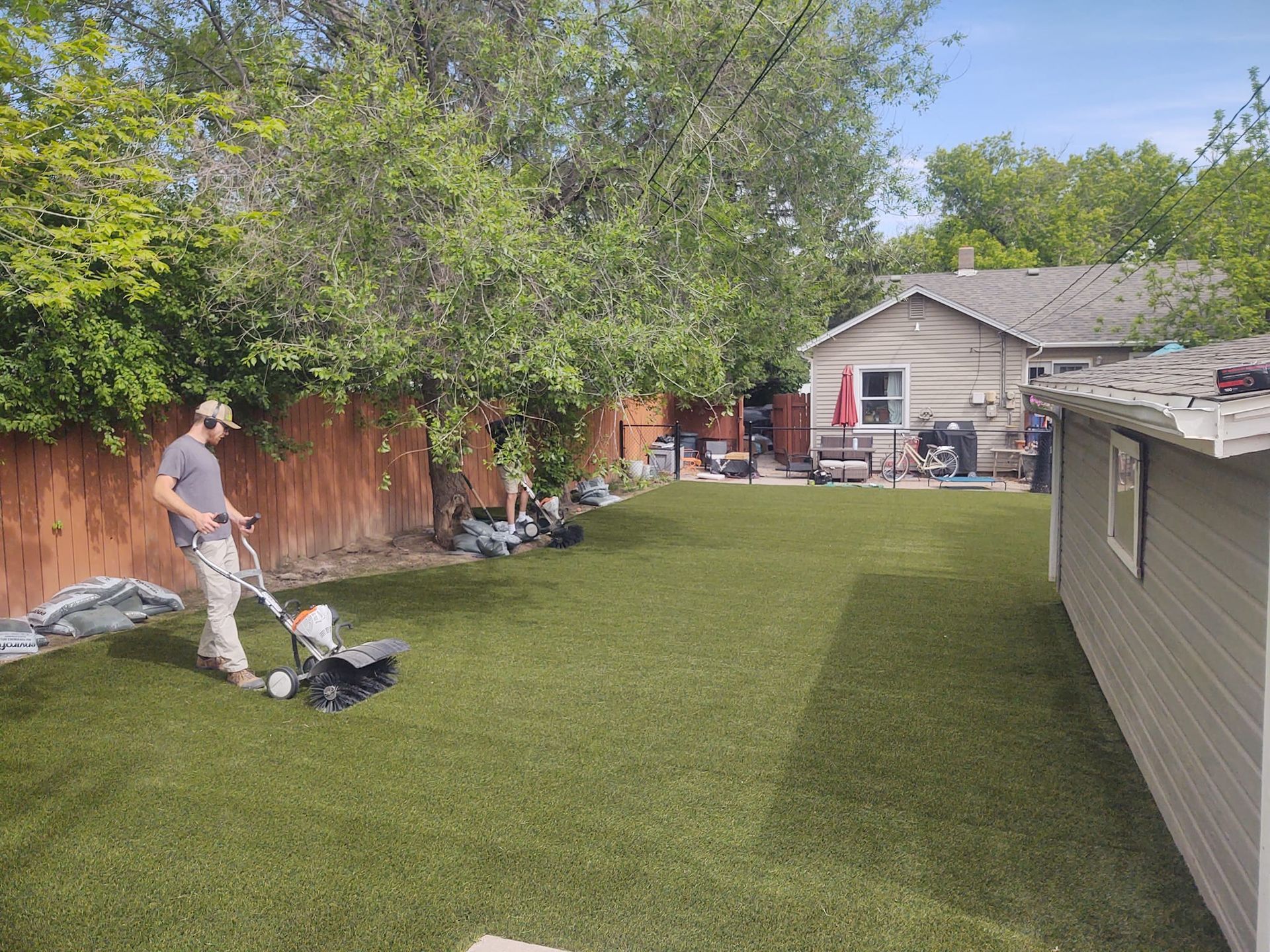 Man using a lawn aerator on a green lawn in a backyard next to a fence and house