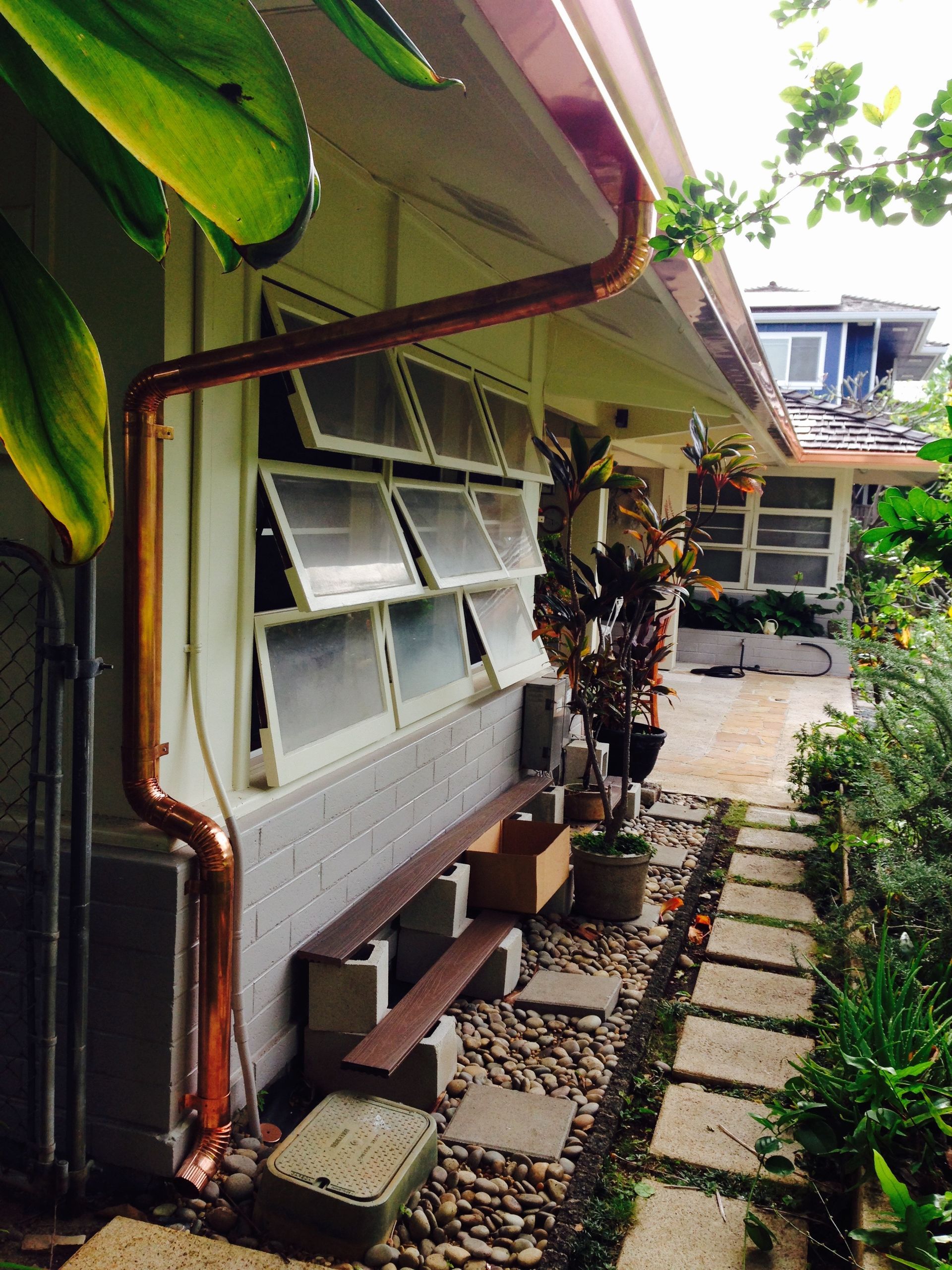 House with a garden and plants