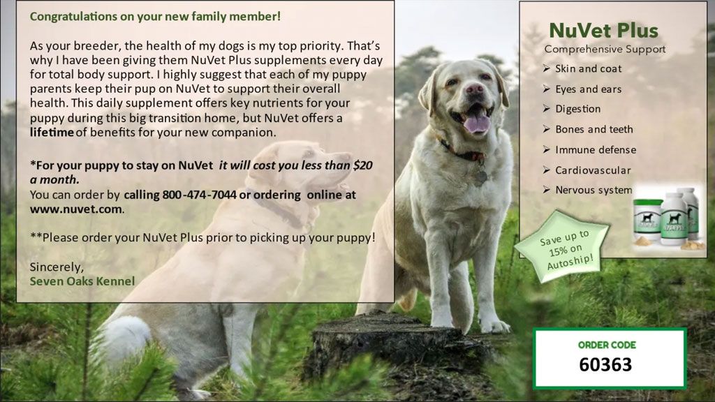 Yellow Labrador dog beside product information for NuVet Plus supplement.