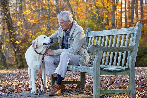 Man sitting on bench, petting a yellow Labrador dog in a park with autumn leaves.