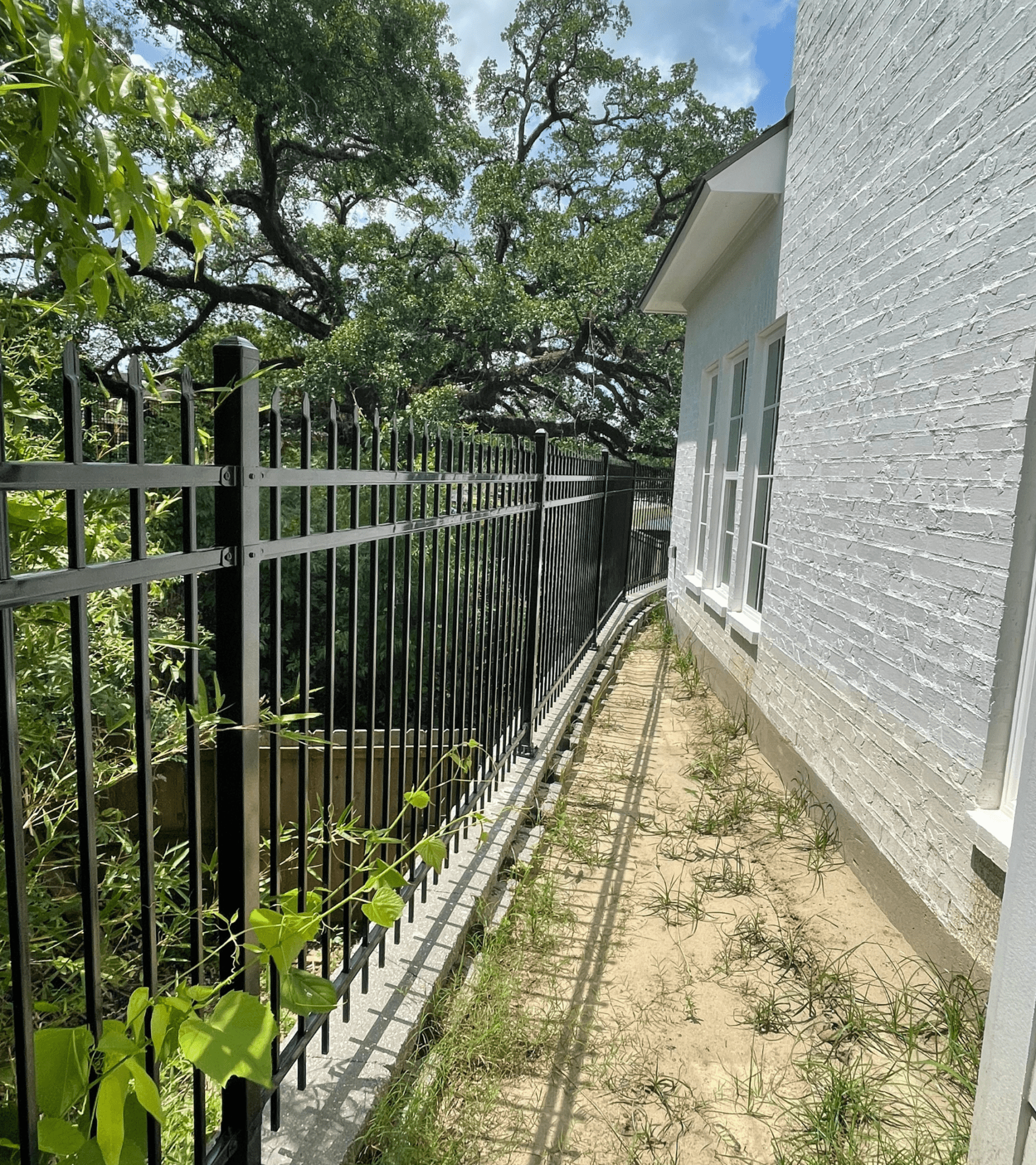 Ameristar fence