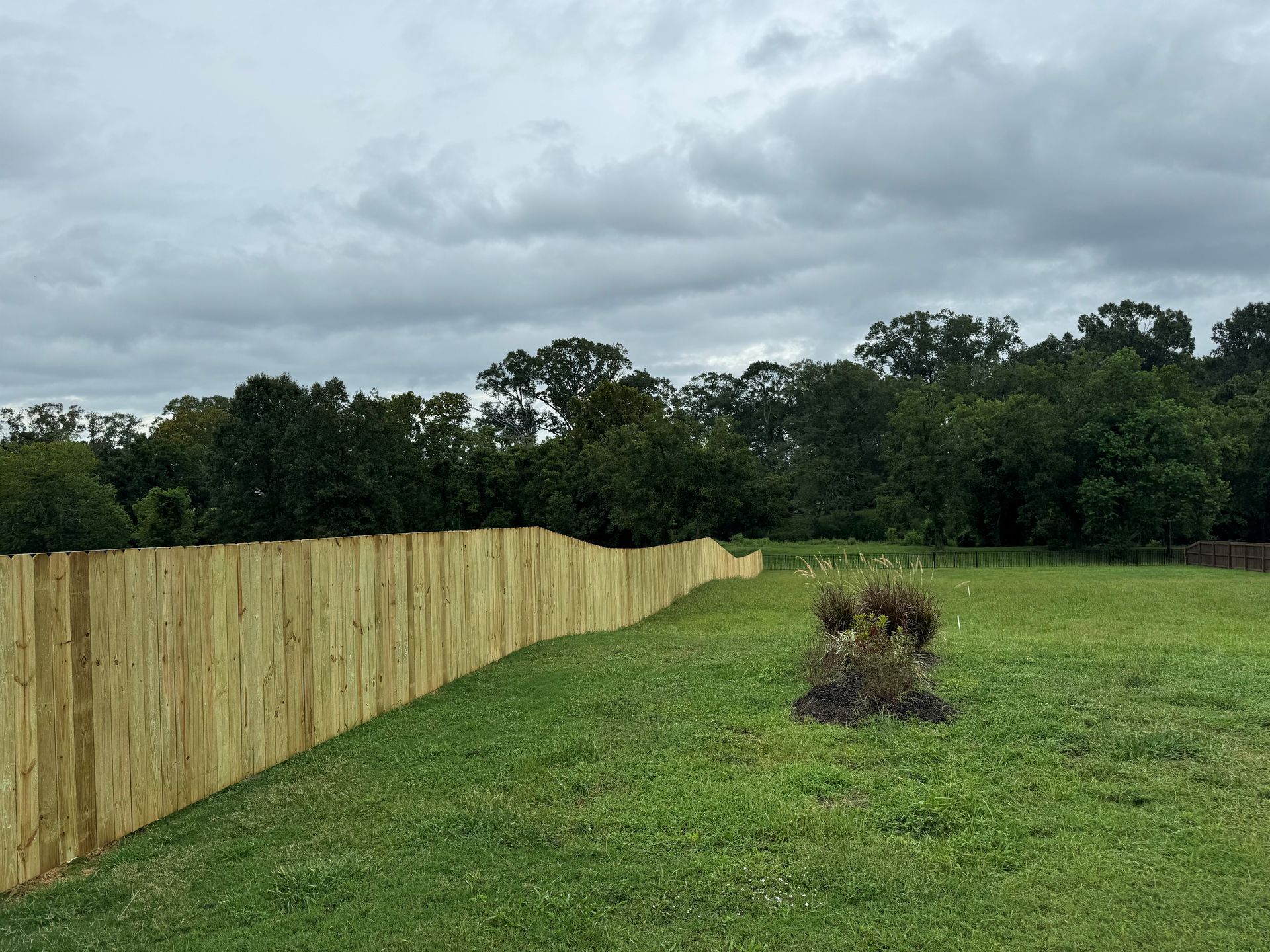 Fence in a yard