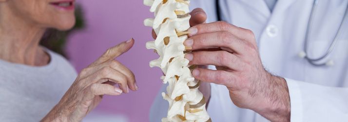 Doctor and patient examining a spine model, with the patient pointing at a vertebra.