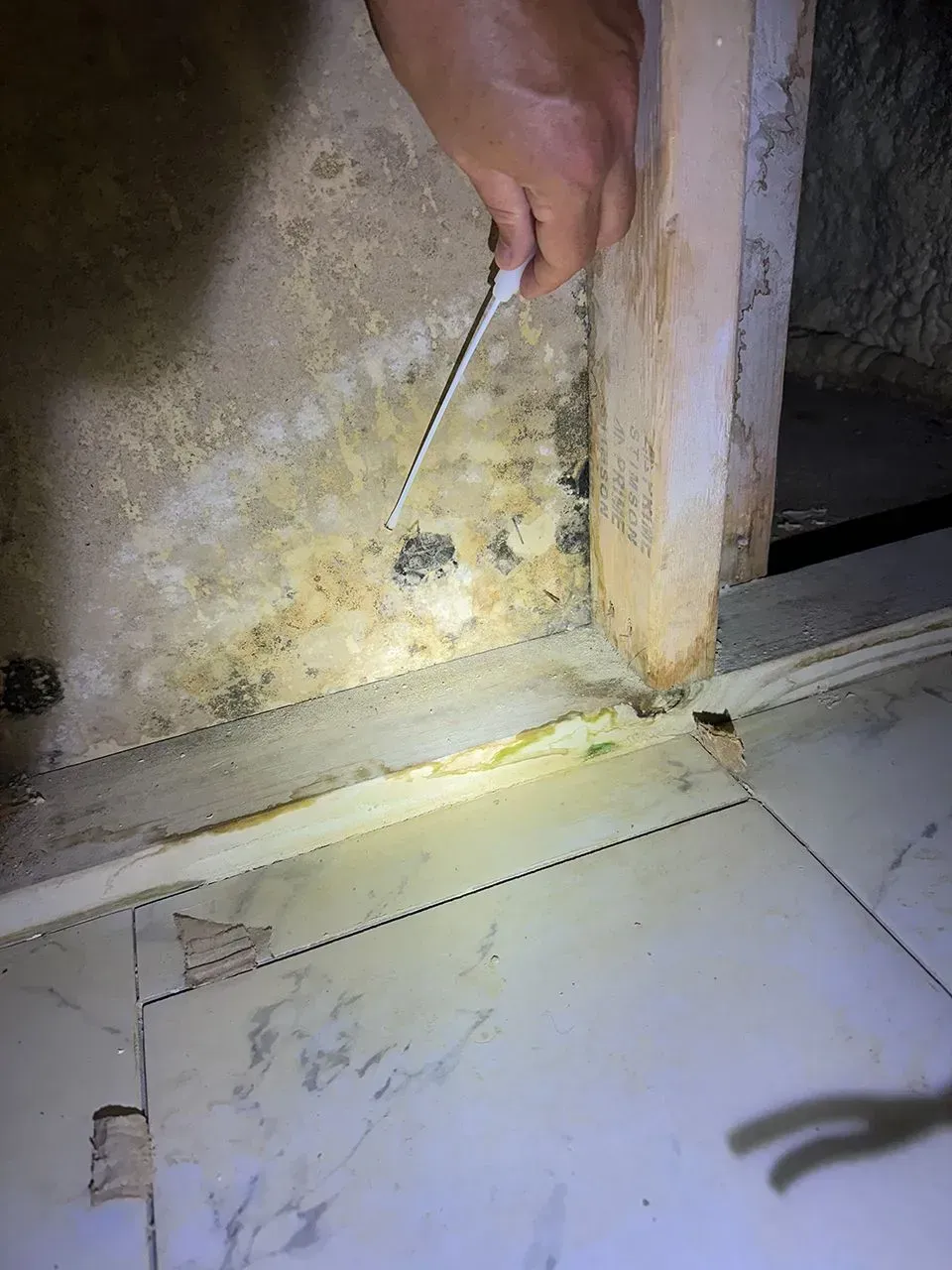 Person inspecting mold with a tool near a doorway with tile flooring and a moldy wall.