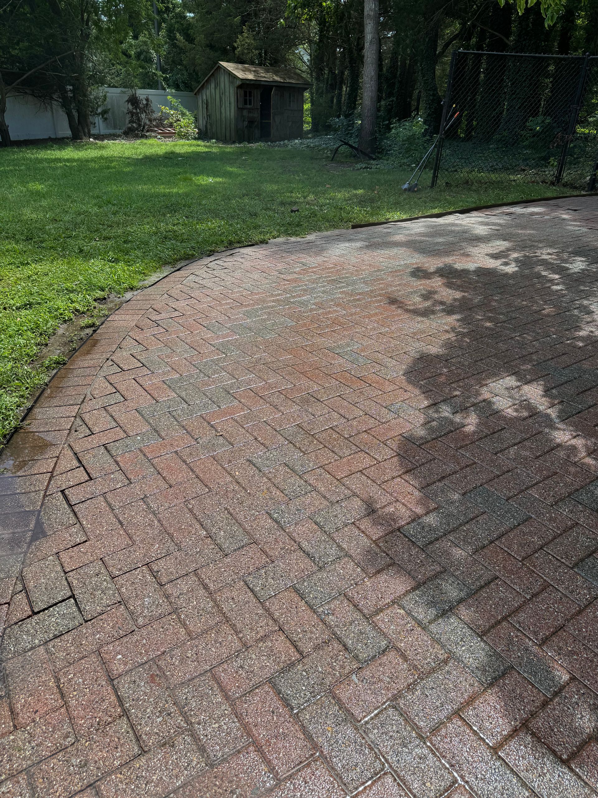 A brick walkway leading to a shed in a backyard.