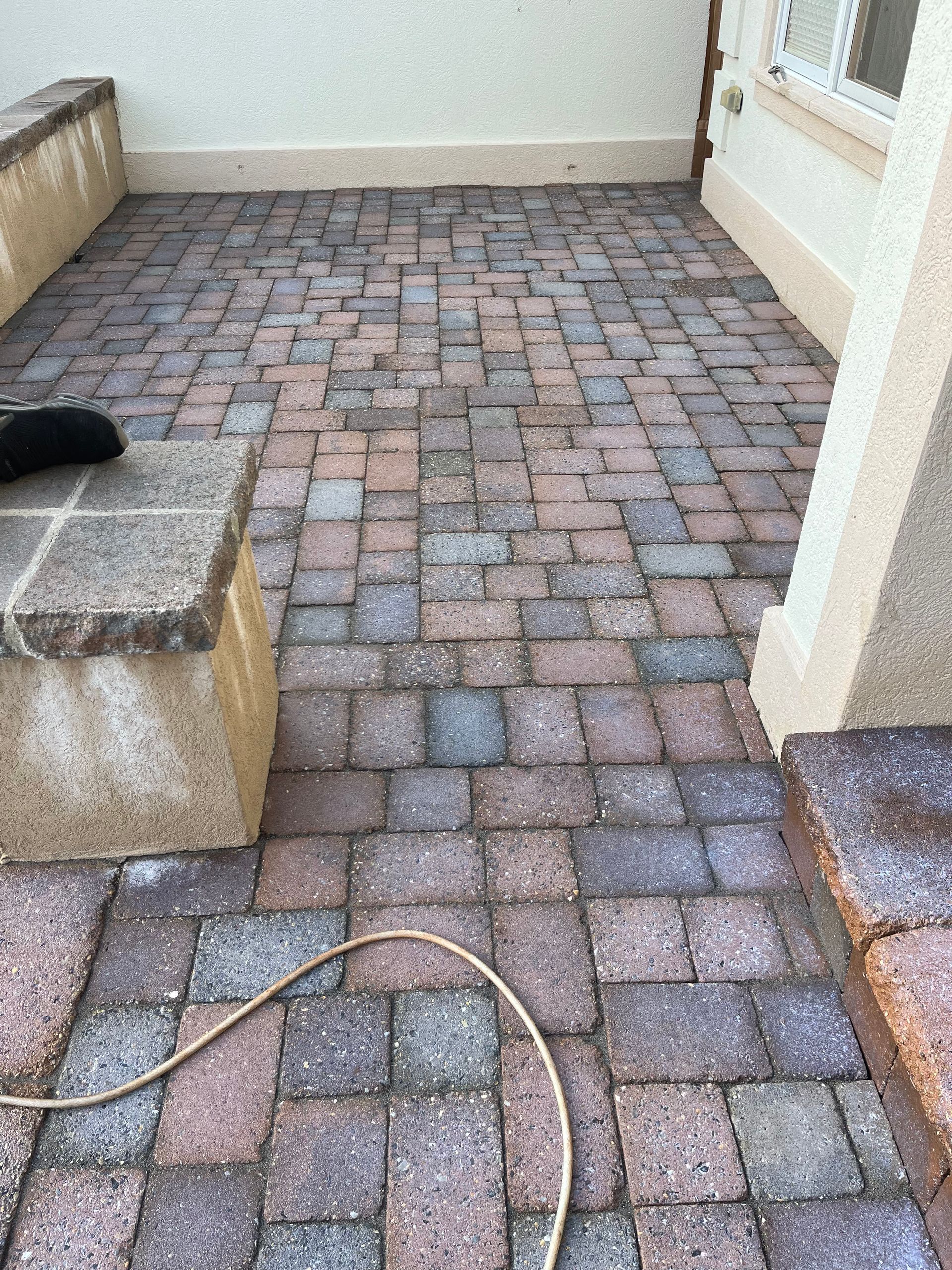 A dog is sitting on a bench on a brick patio.