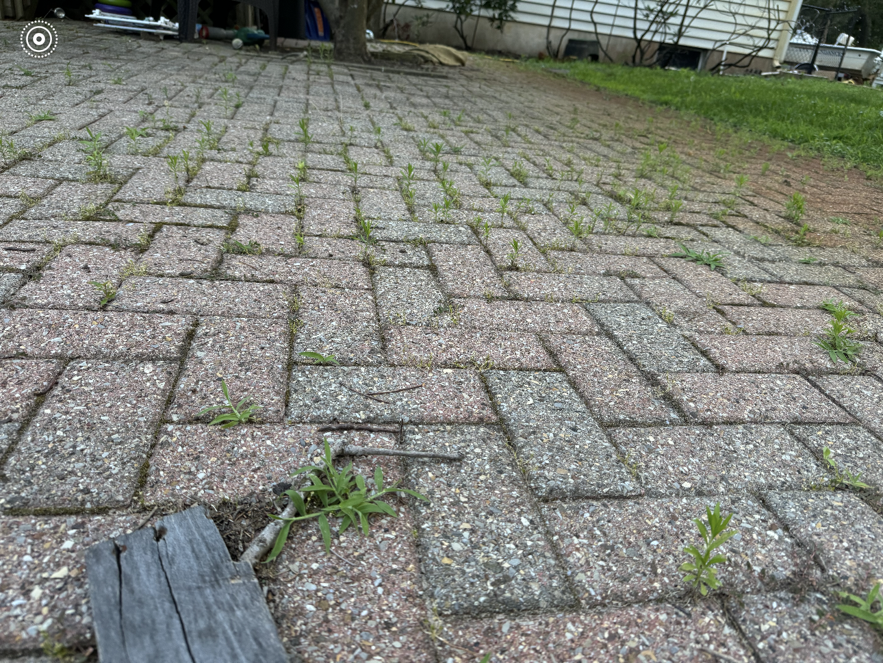 A brick driveway with weeds growing out of it and a glove on the ground.