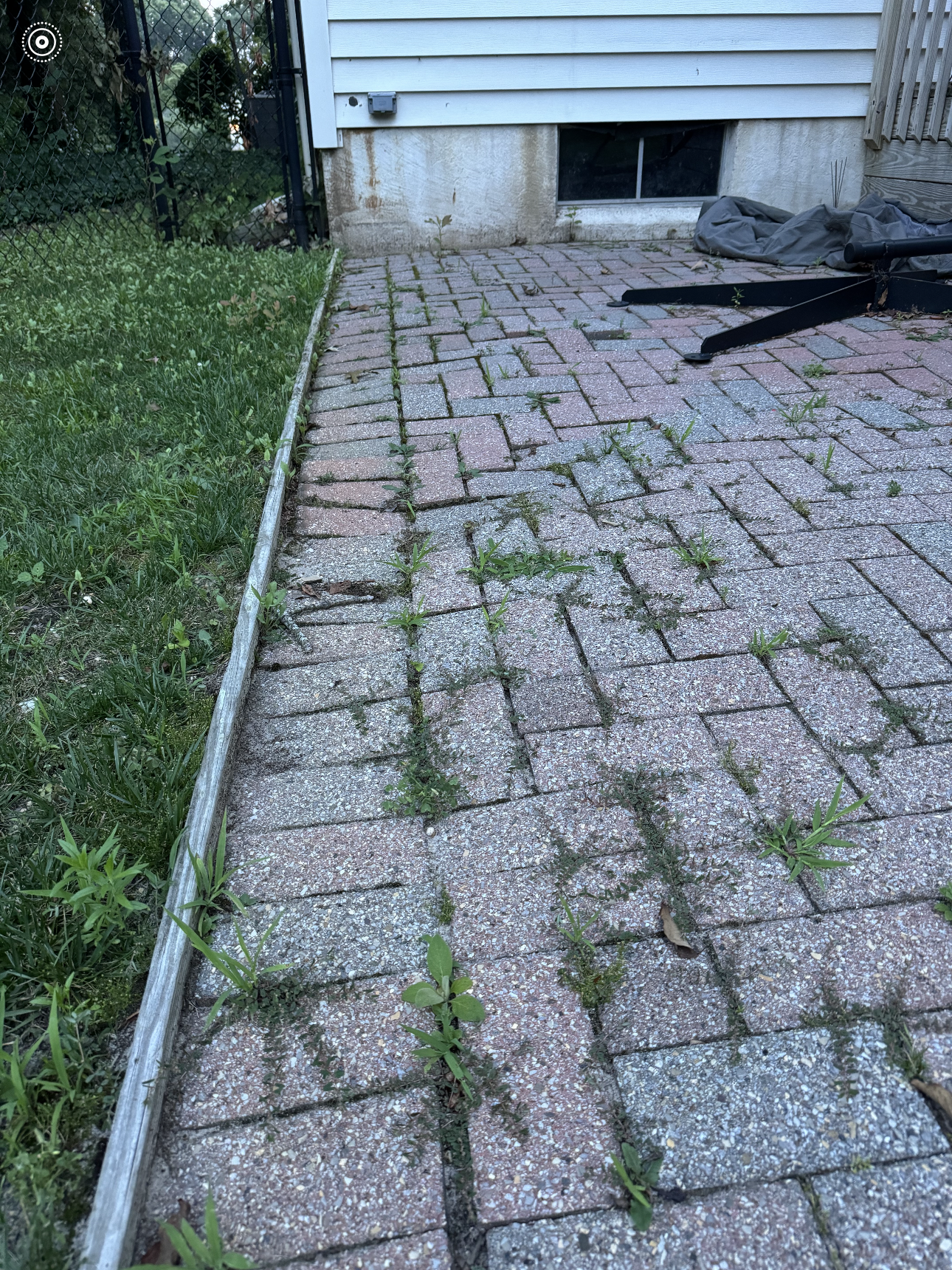 A brick walkway with weeds growing on it next to a house.