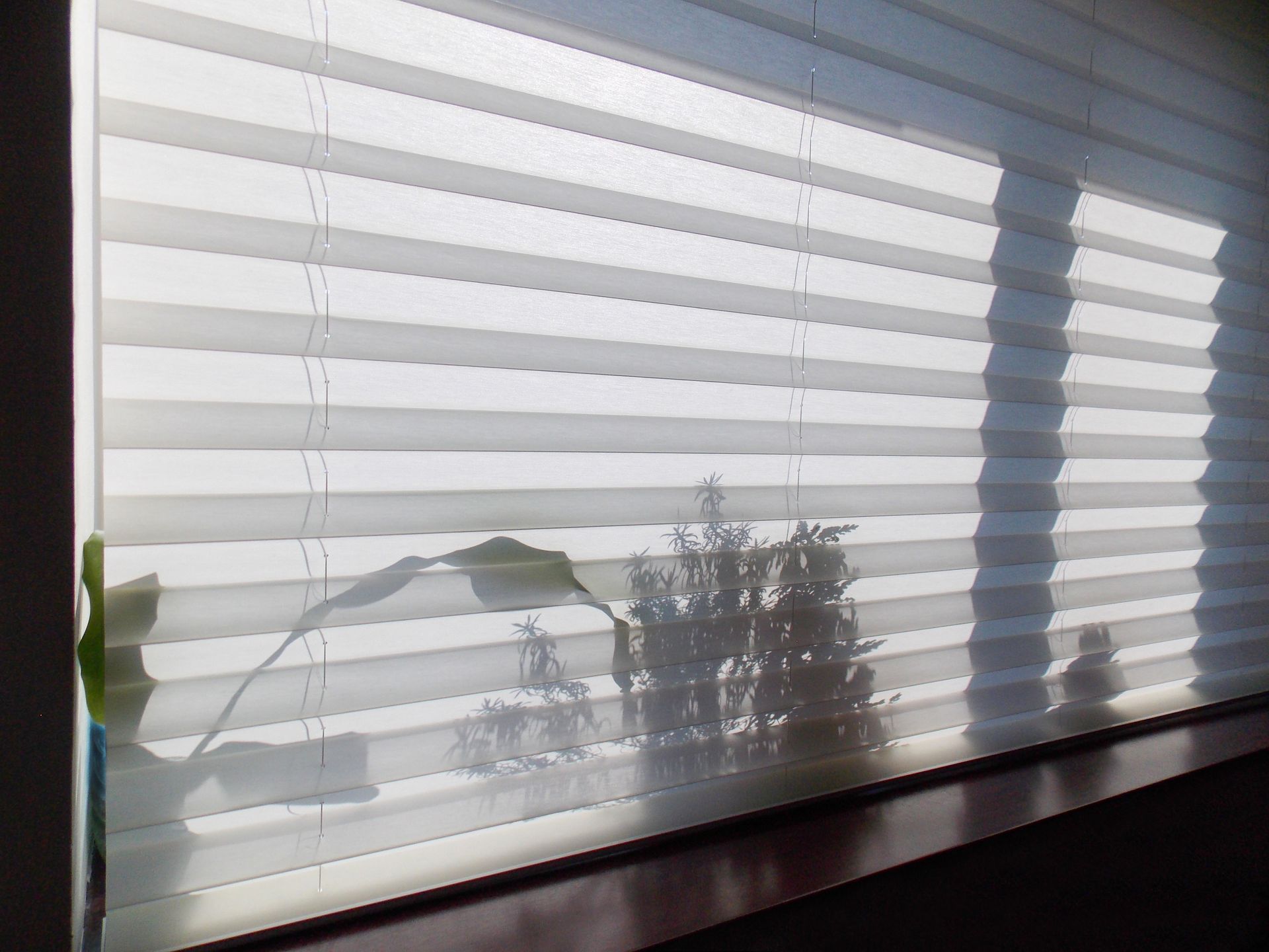cellular shades services
