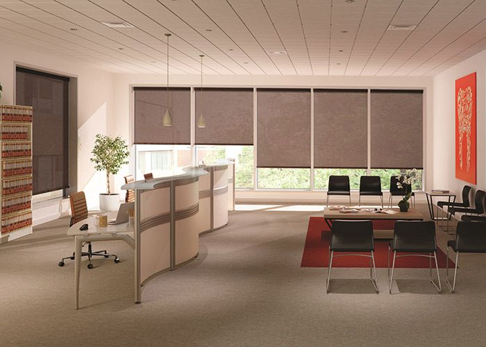 Office windows with solar shades