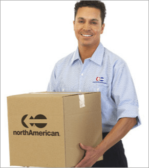 Staff moving packages