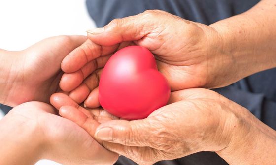 Two pairs of hands cradling a smooth, red, heart-shaped object against a white background.