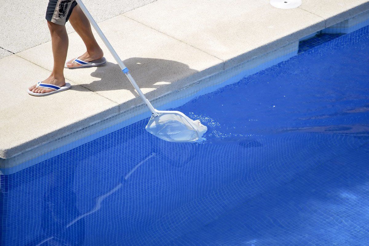 Person cleaning a blue swimming pool with a net, standing on the pool's edge.