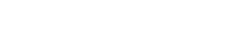 Peters & Nolan, LLC - logo