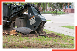 Stump grinding services