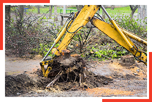 Pepin S Tree Service Llc Arborist Jewett City Ct