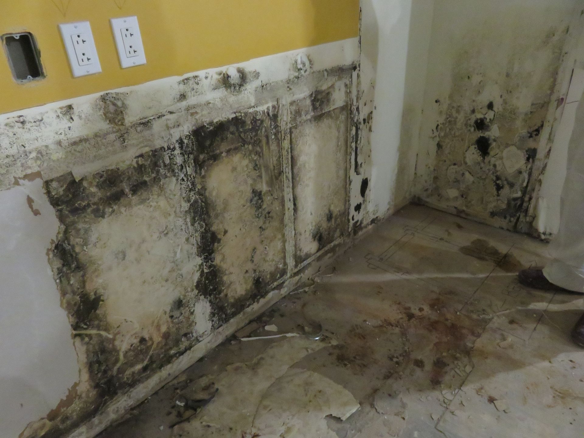 Significant black mold growth on walls and flooring in a room undergoing interior renovation.