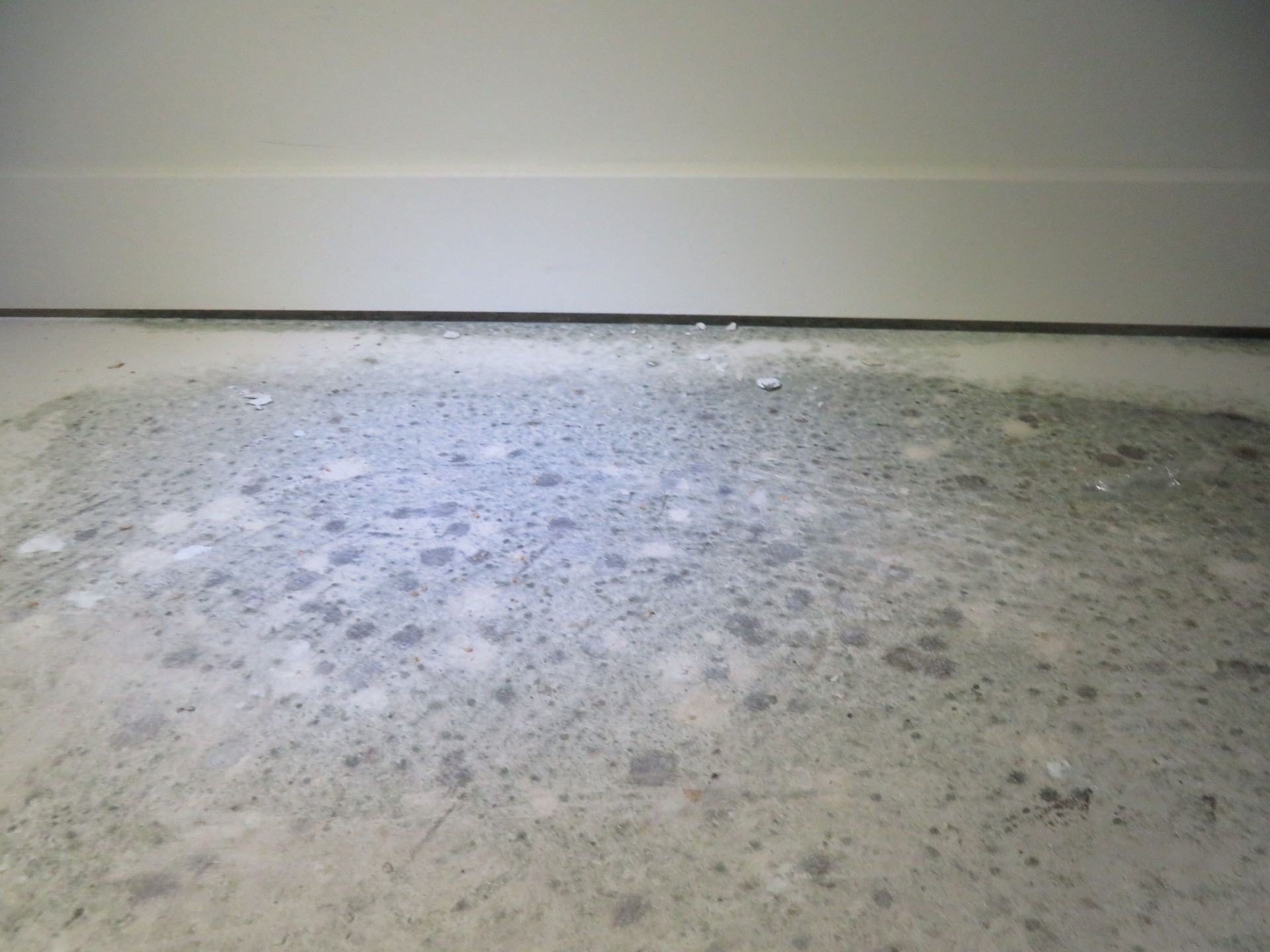 A close-up view of a dusty, mottled grey concrete floor meeting a plain white wall baseboard.