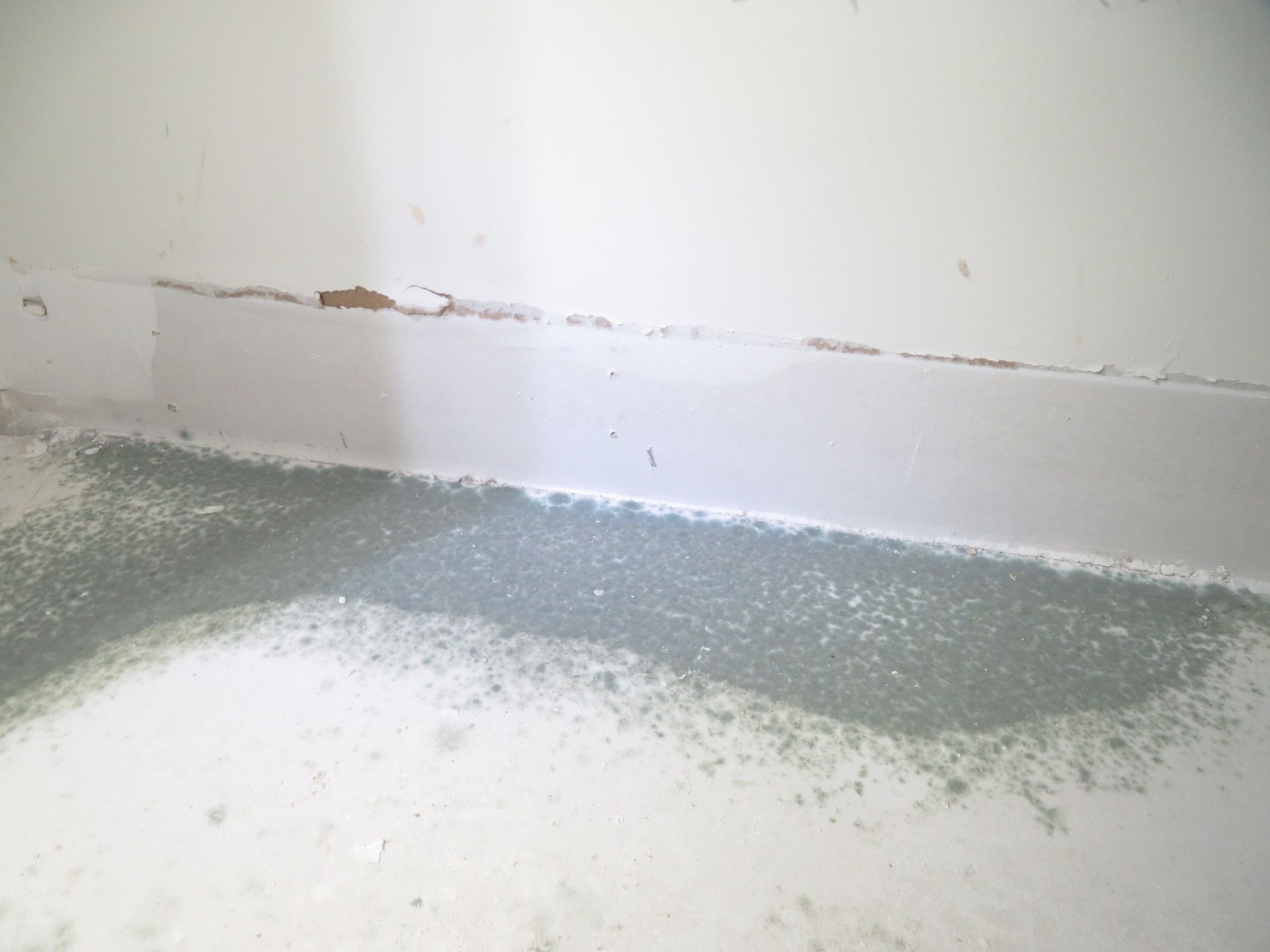 A low-angle view shows a damaged wall baseboard with peeling paint and a patch of gray, dusty residue on the floor.