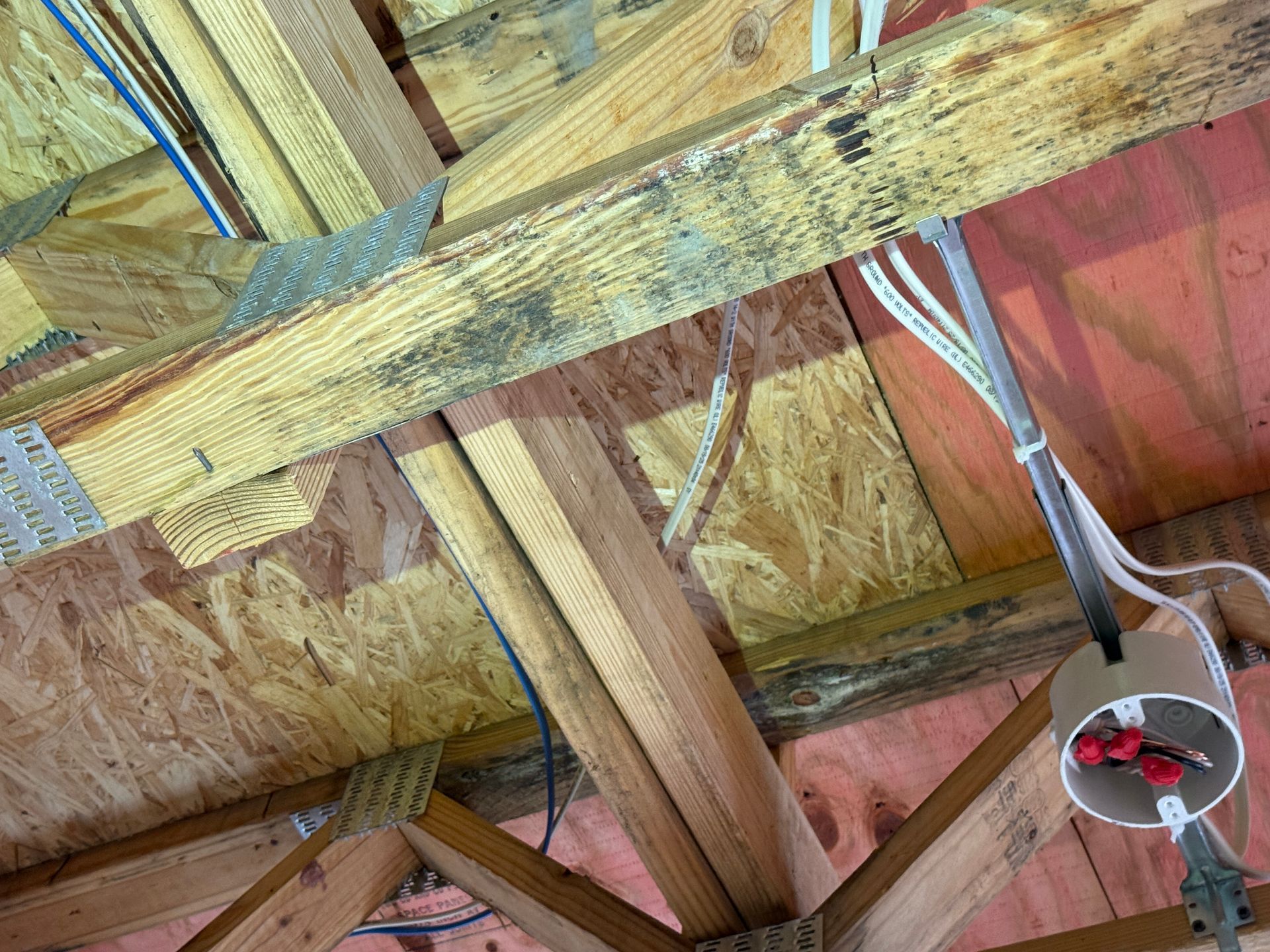 An electrical junction box hanging from a wooden attic truss, with white cables secured to the rafter above.