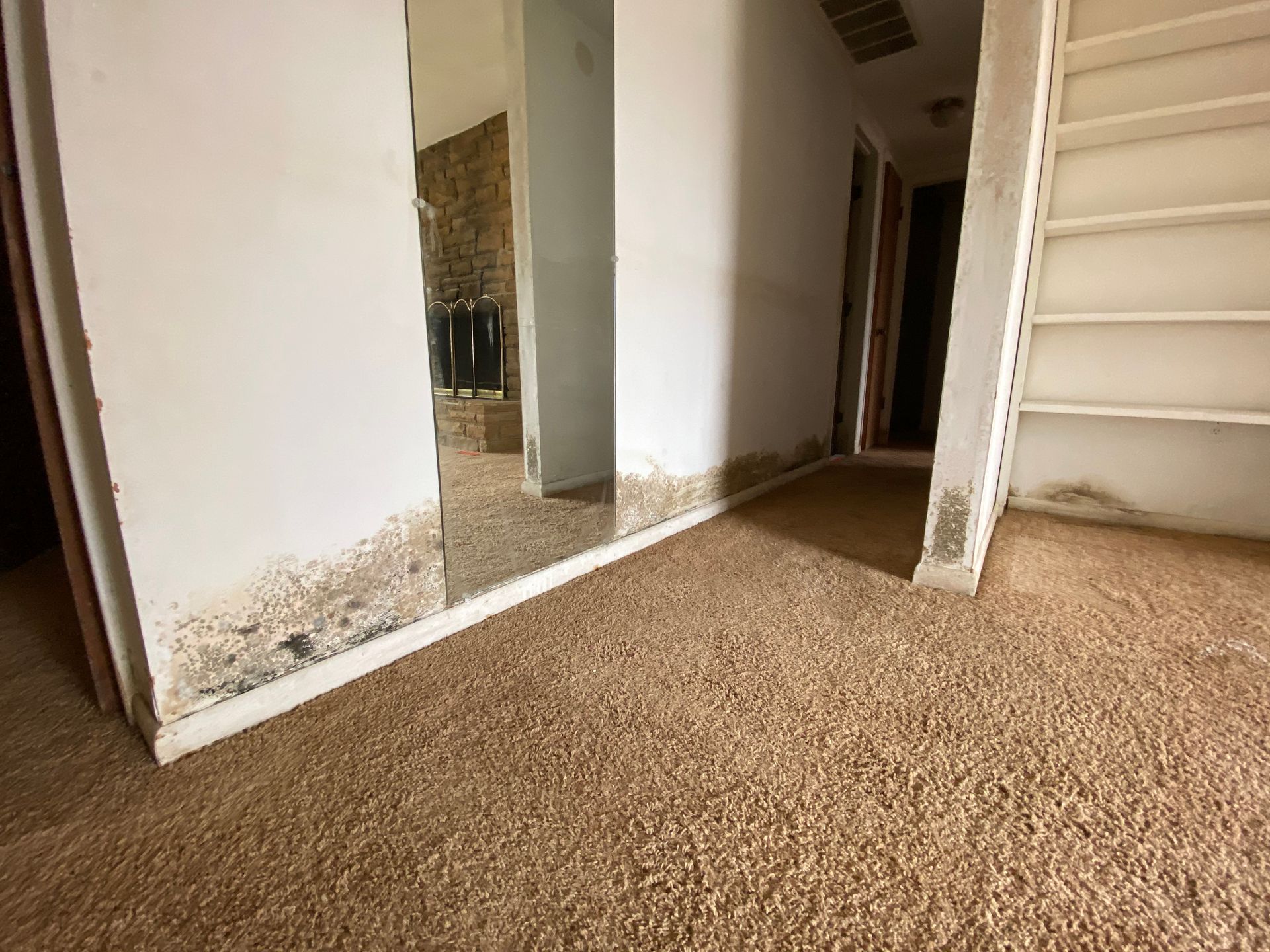 Moldy walls and carpet in a hallway. White walls, stairs, and beige carpet.