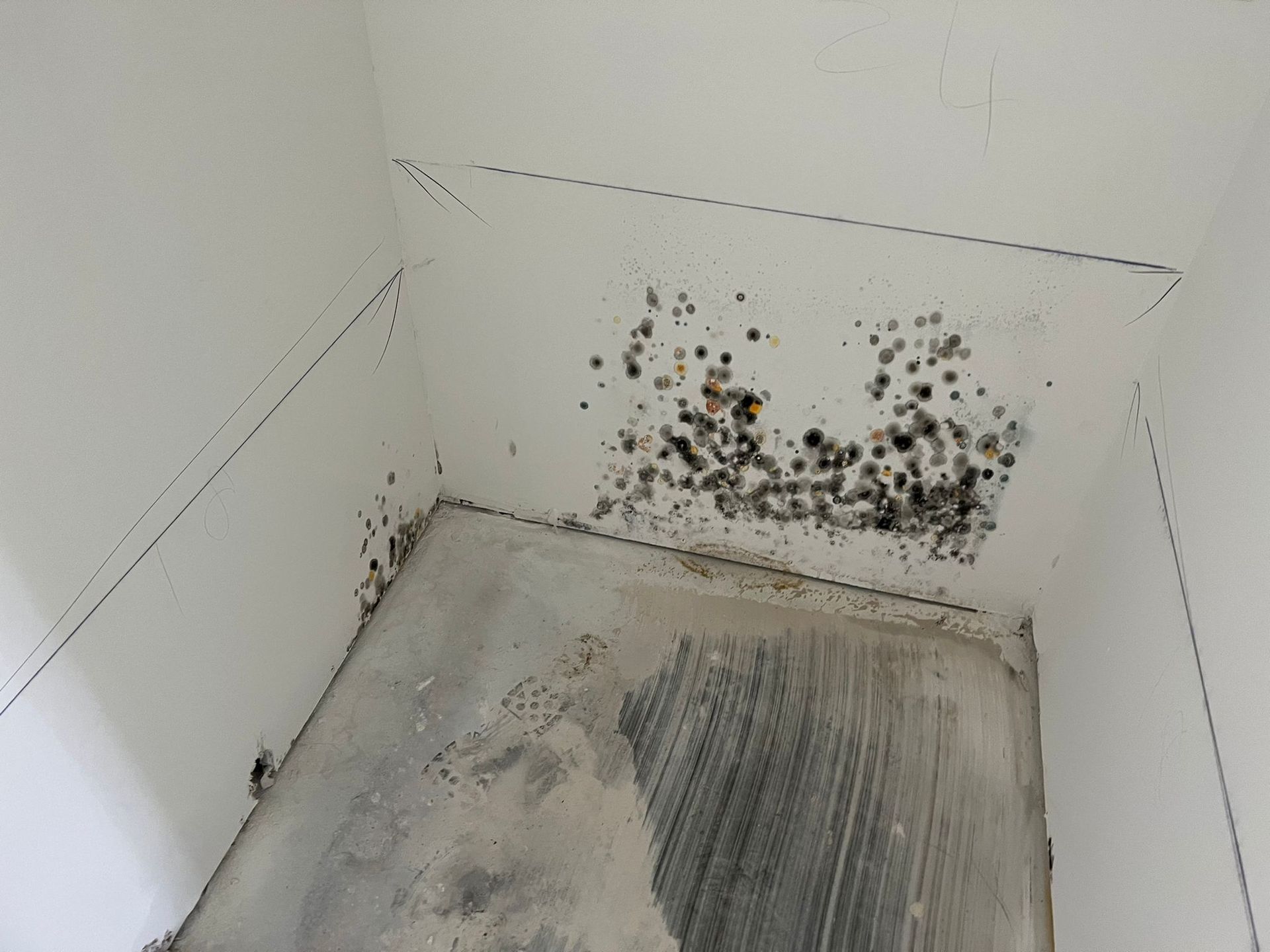 Mold growth on the ceiling and walls of a white interior room.