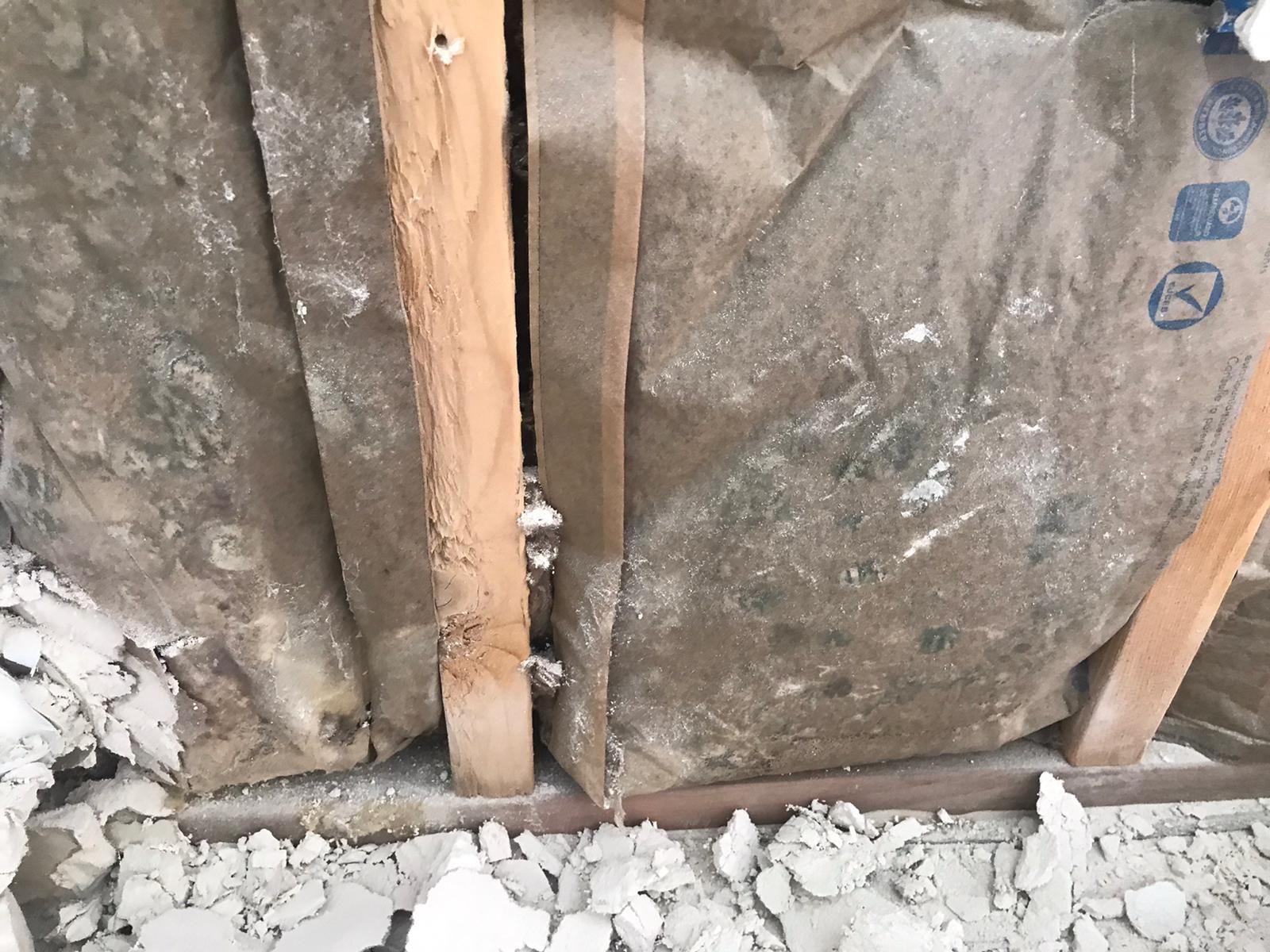 Wooden wall studs with insulation, covered in what appears to be drywall dust.