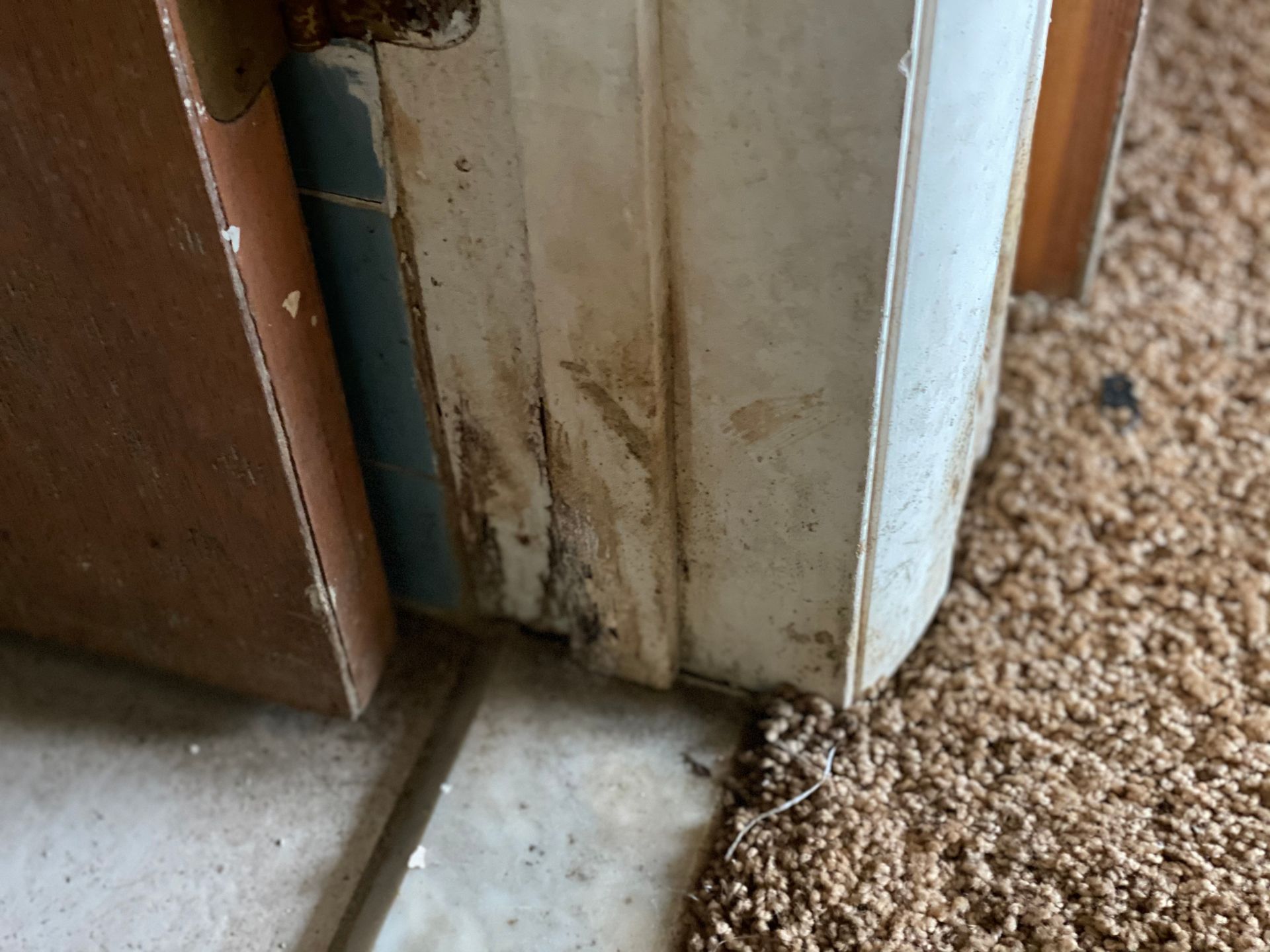 Base of a door frame with water damage and dark staining near the floor, with tile and carpet visible.