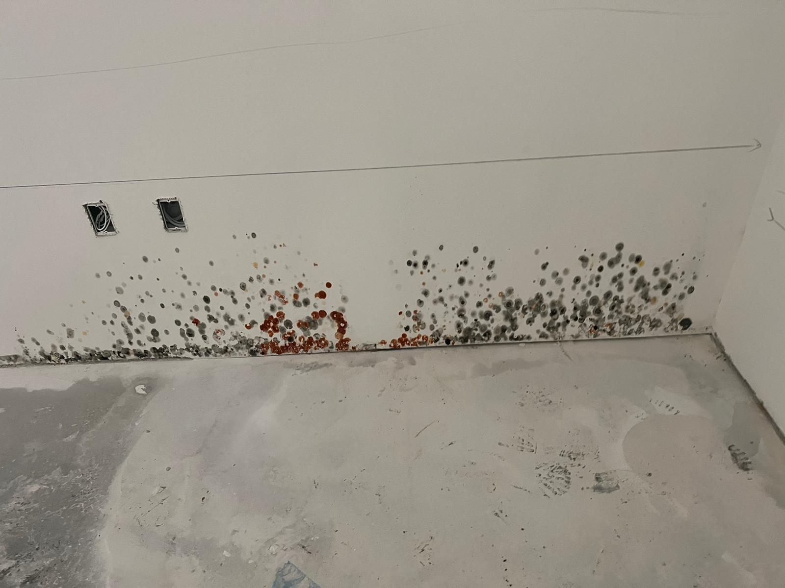 Wall with dark spots of apparent mold, near floor and electrical outlets. Concrete floor.