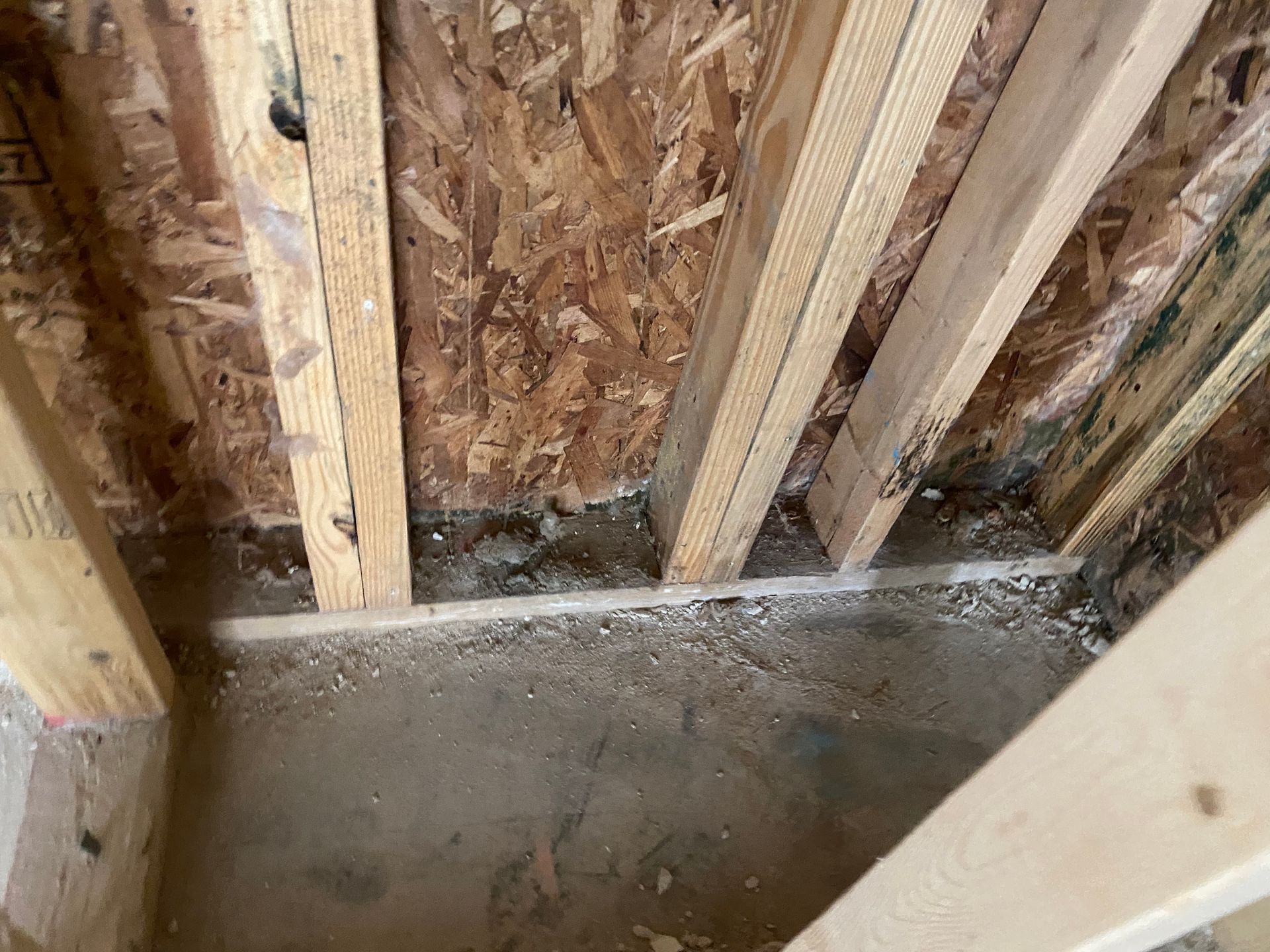 Interior of a partially constructed wooden wall with visible mold on the OSB sheathing and base.