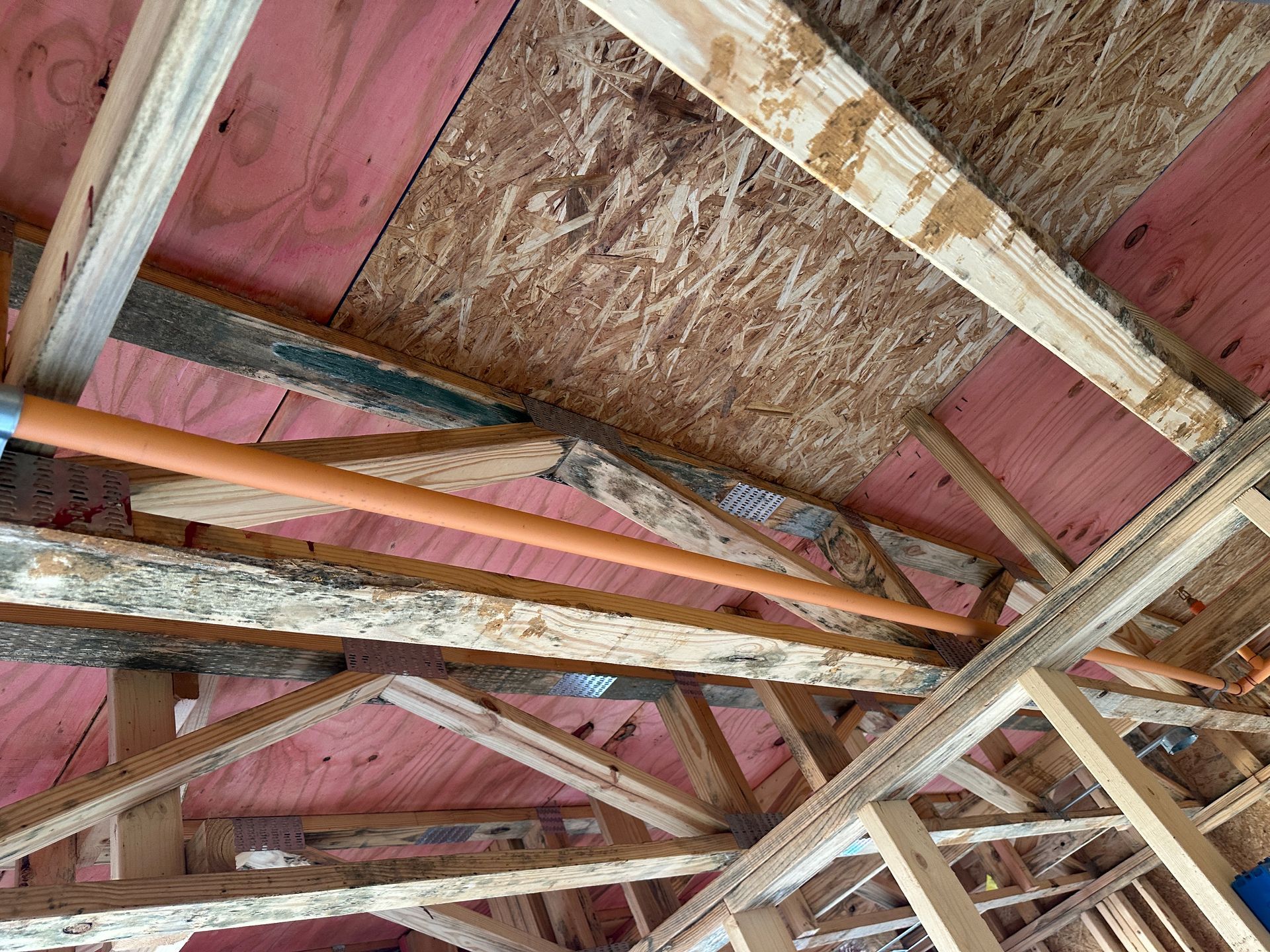 A view of an unfinished attic with wooden roof trusses, orange piping, and pink-coated roof decking.