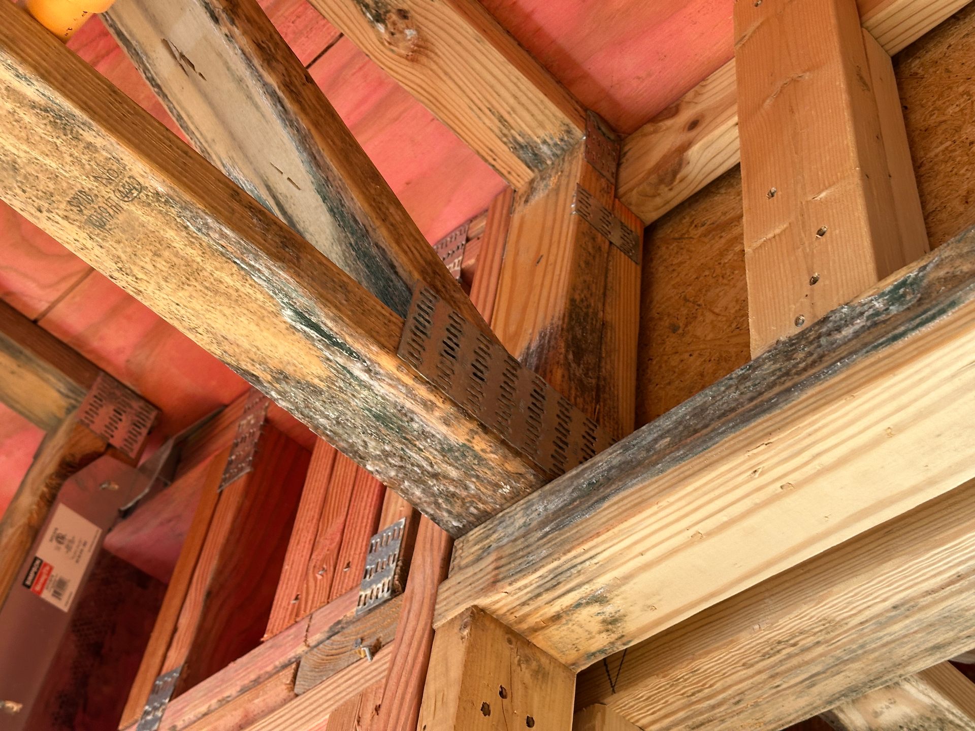 Wooden roof trusses and structural framing members, including metal connector plates, inside an unfinished attic.