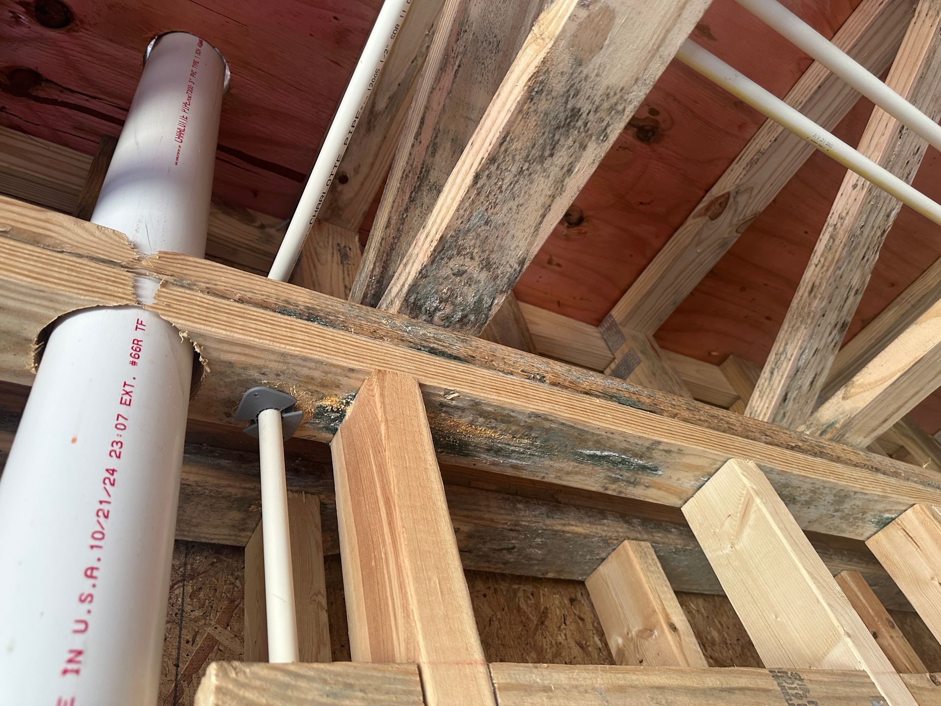Interior view of exposed wooden ceiling joists and wall framing, with some wood surfaces showing dark mold-like spots.