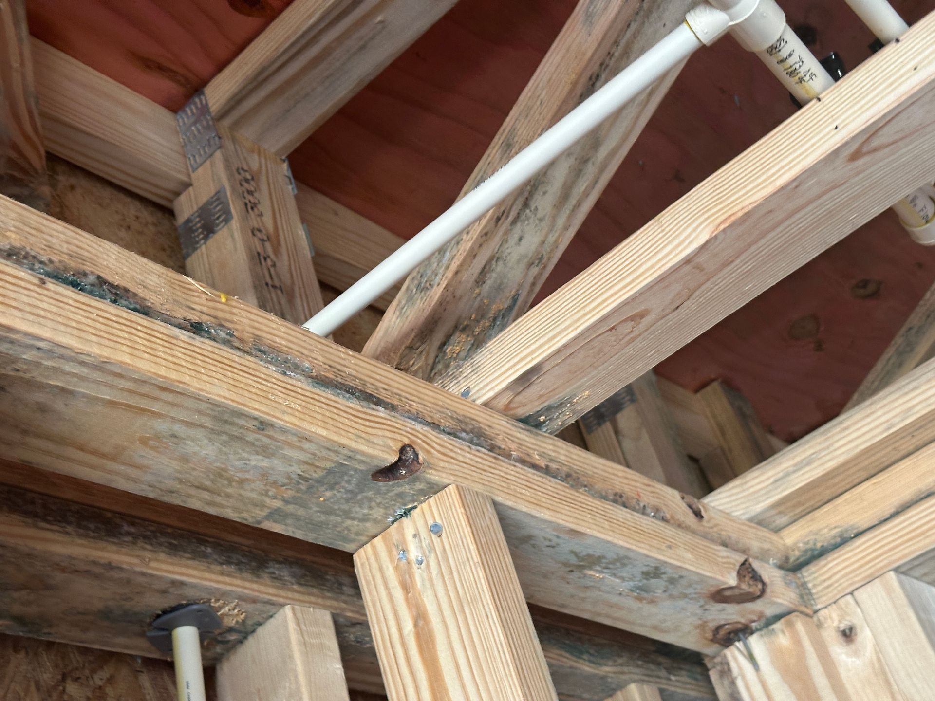 Unfinished wooden ceiling joists with visible dark mold growth and exposed white plumbing pipes.