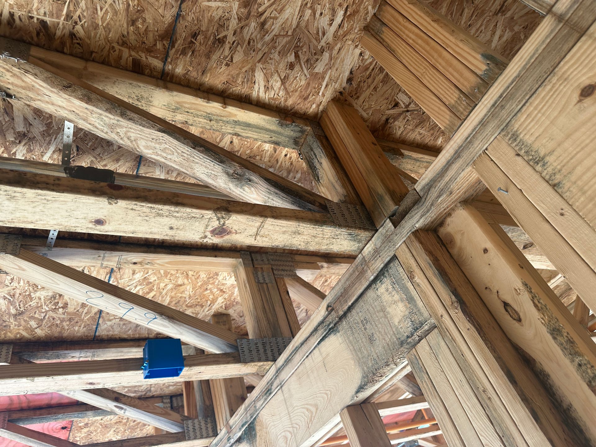 Wooden roof trusses and structural framing inside an unfinished building attic.