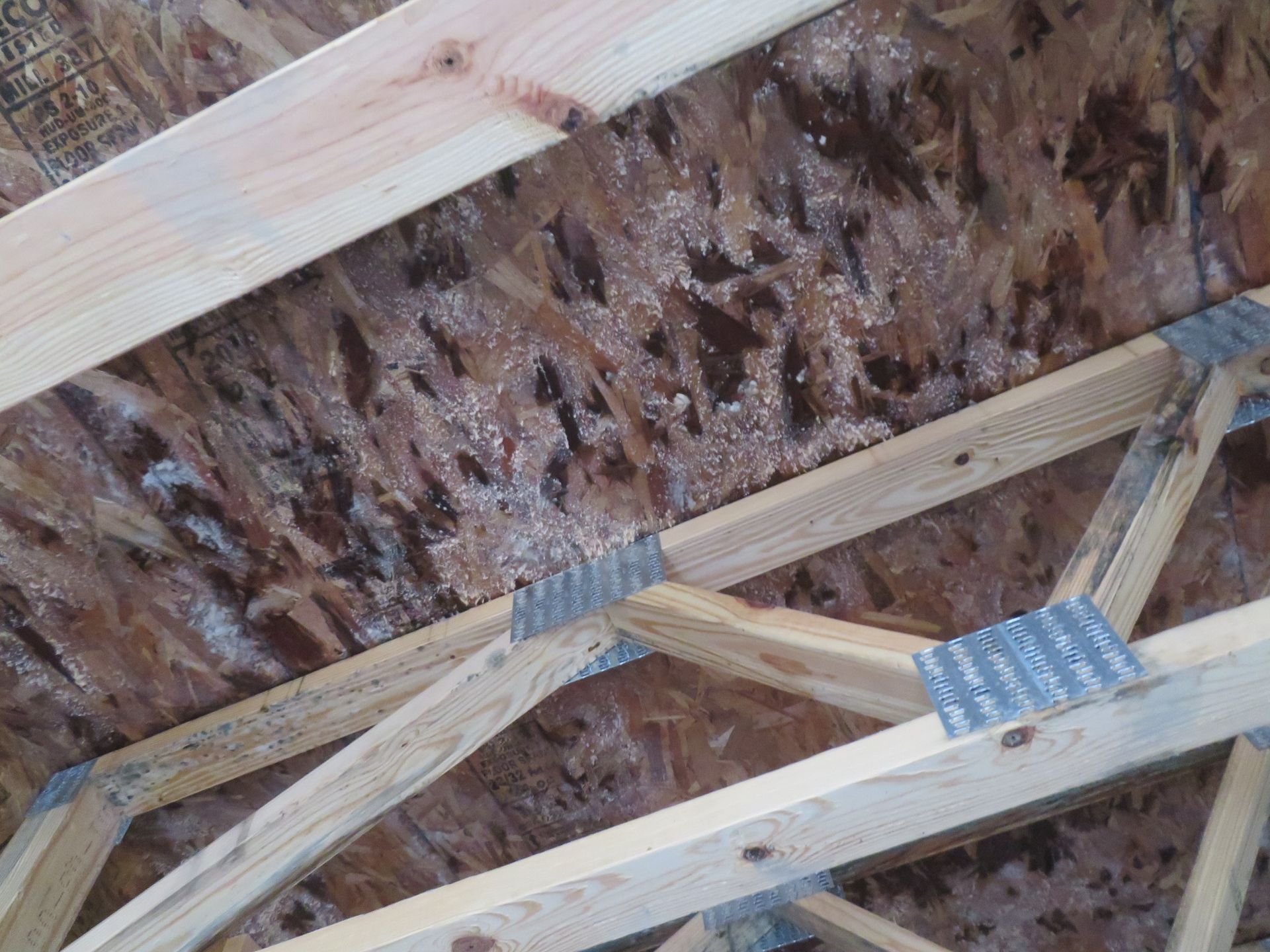 Attic roof decking with visible white mold growth appearing on the wooden OSB panels between structural wooden trusses.