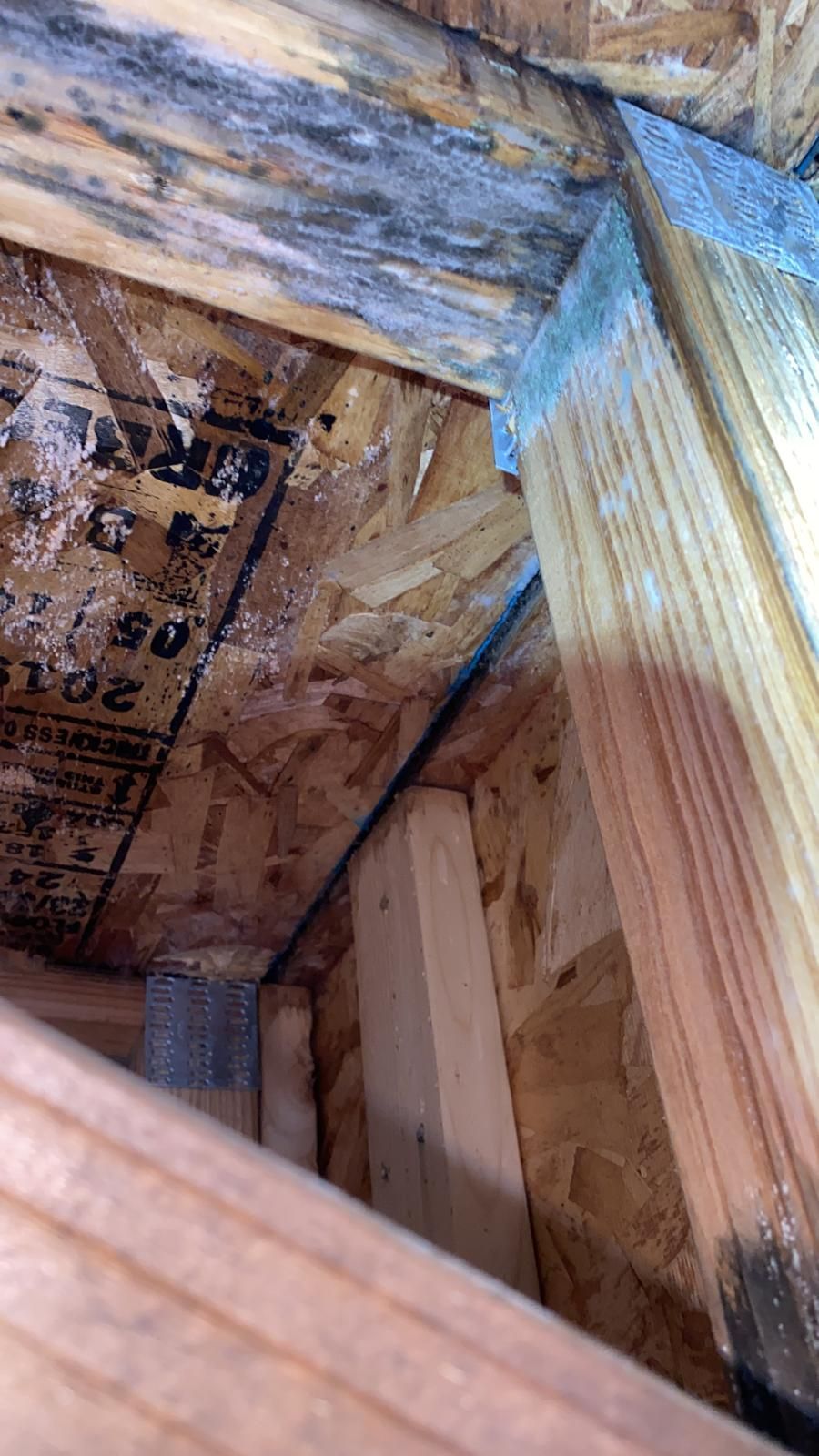 A close-up view of wooden building framing, showing a dark, stained beam meeting plywood sheathing in a corner.