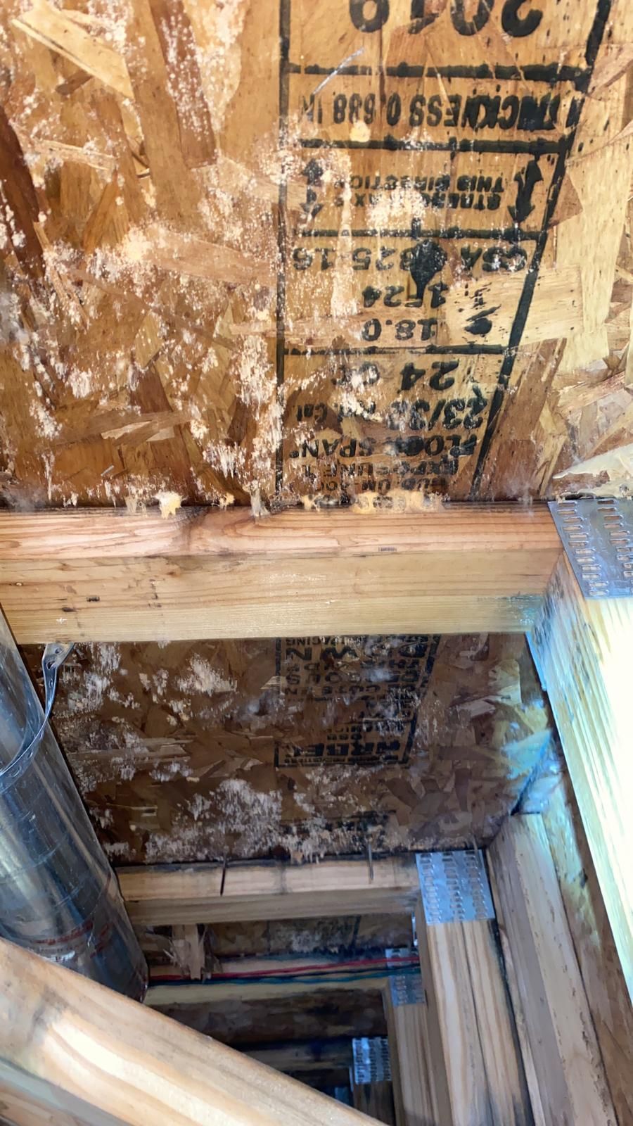 A view between wooden floor joists showing patches of white mold growth on the plywood subfloor above.