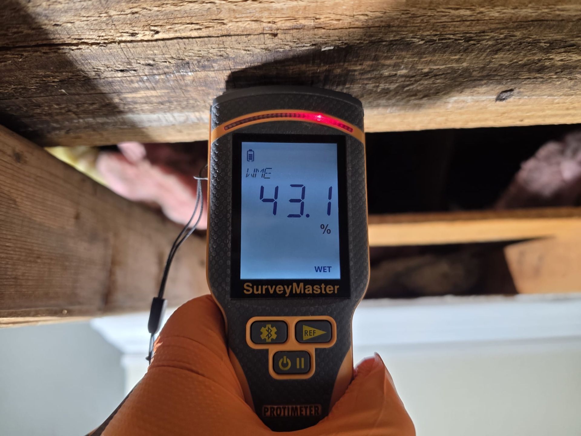 A gloved hand holds a moisture meter against a wooden beam, showing a high moisture reading of 43.1%.