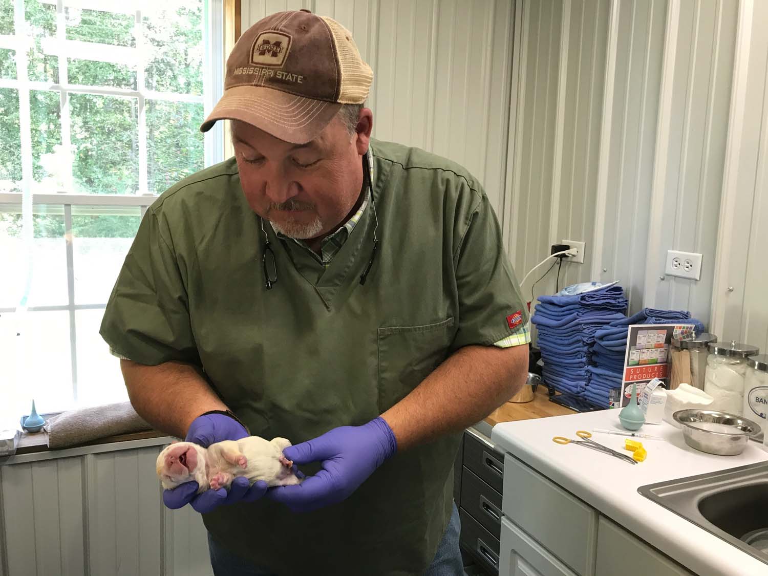 Pontotoc Animal Control 47