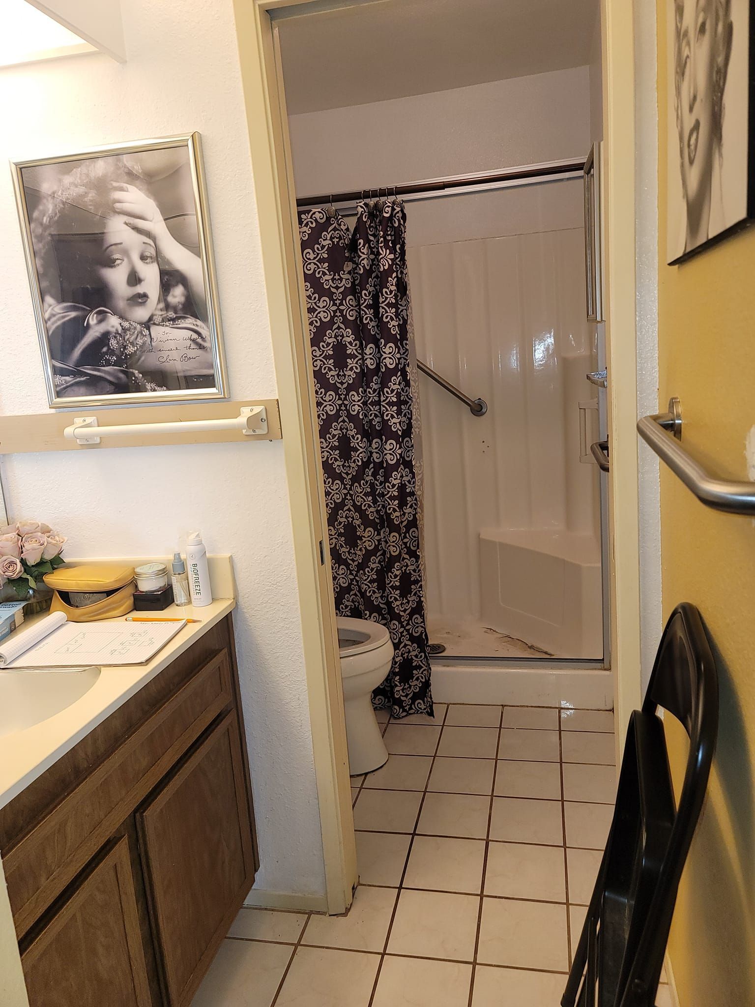 Bathroom interior with a shower, toilet, vanity, and artwork. Black and white patterned shower curtain and Marilyn Monroe portrait.