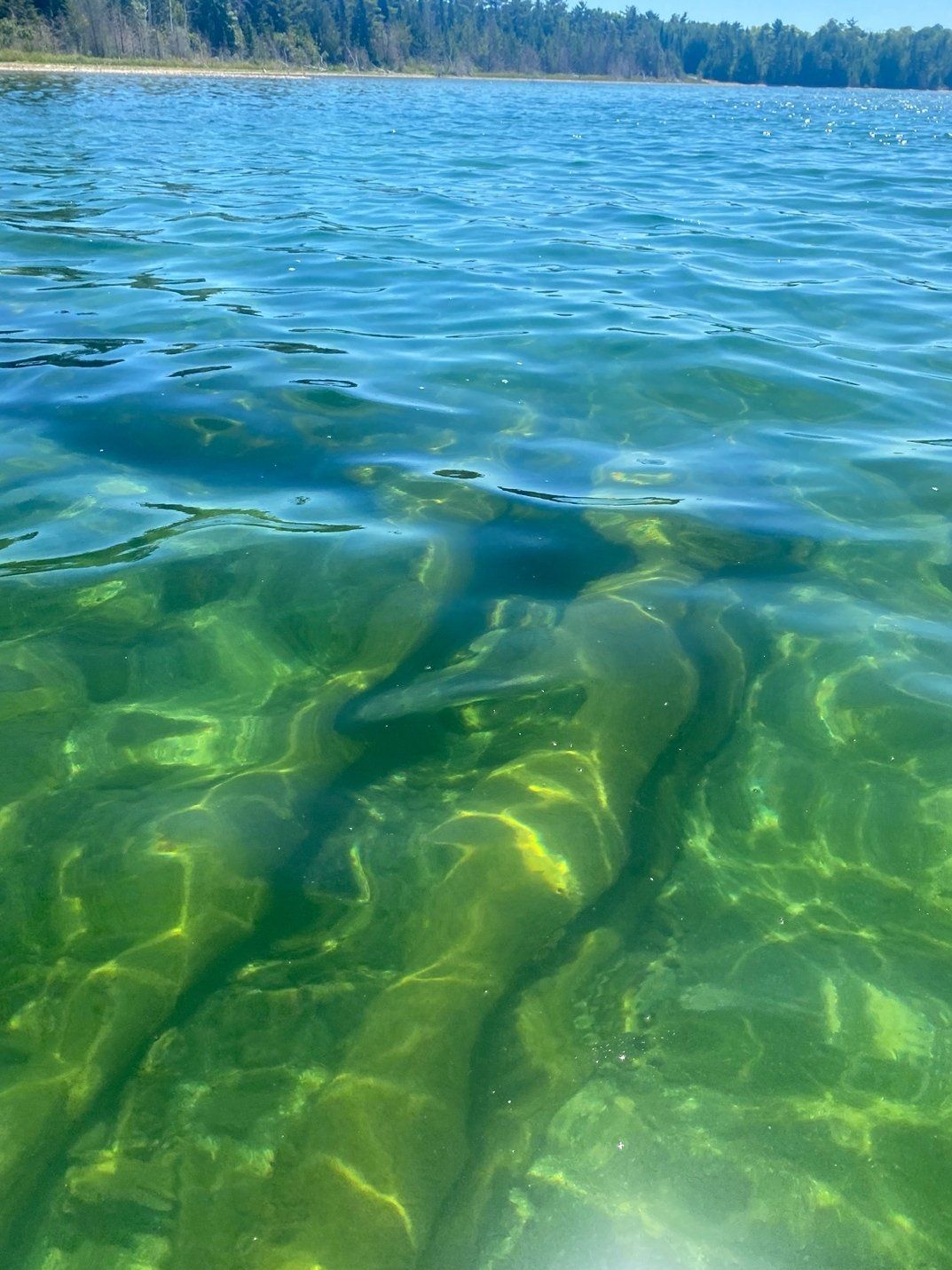 close up view of green and blue waters