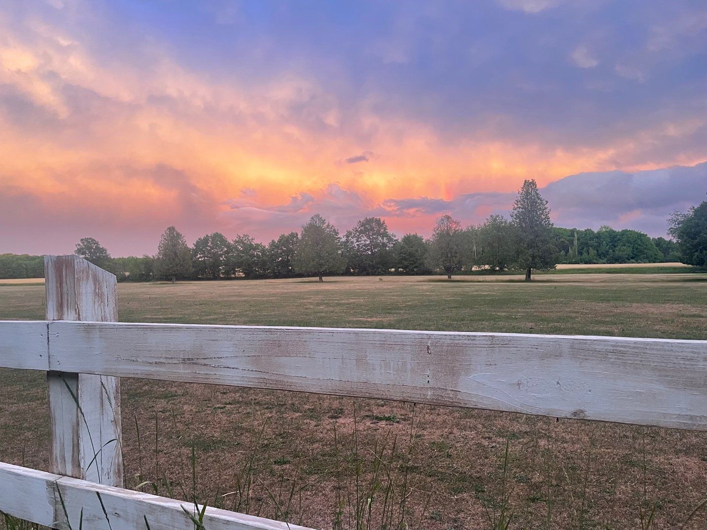 open field with gorgeous sky