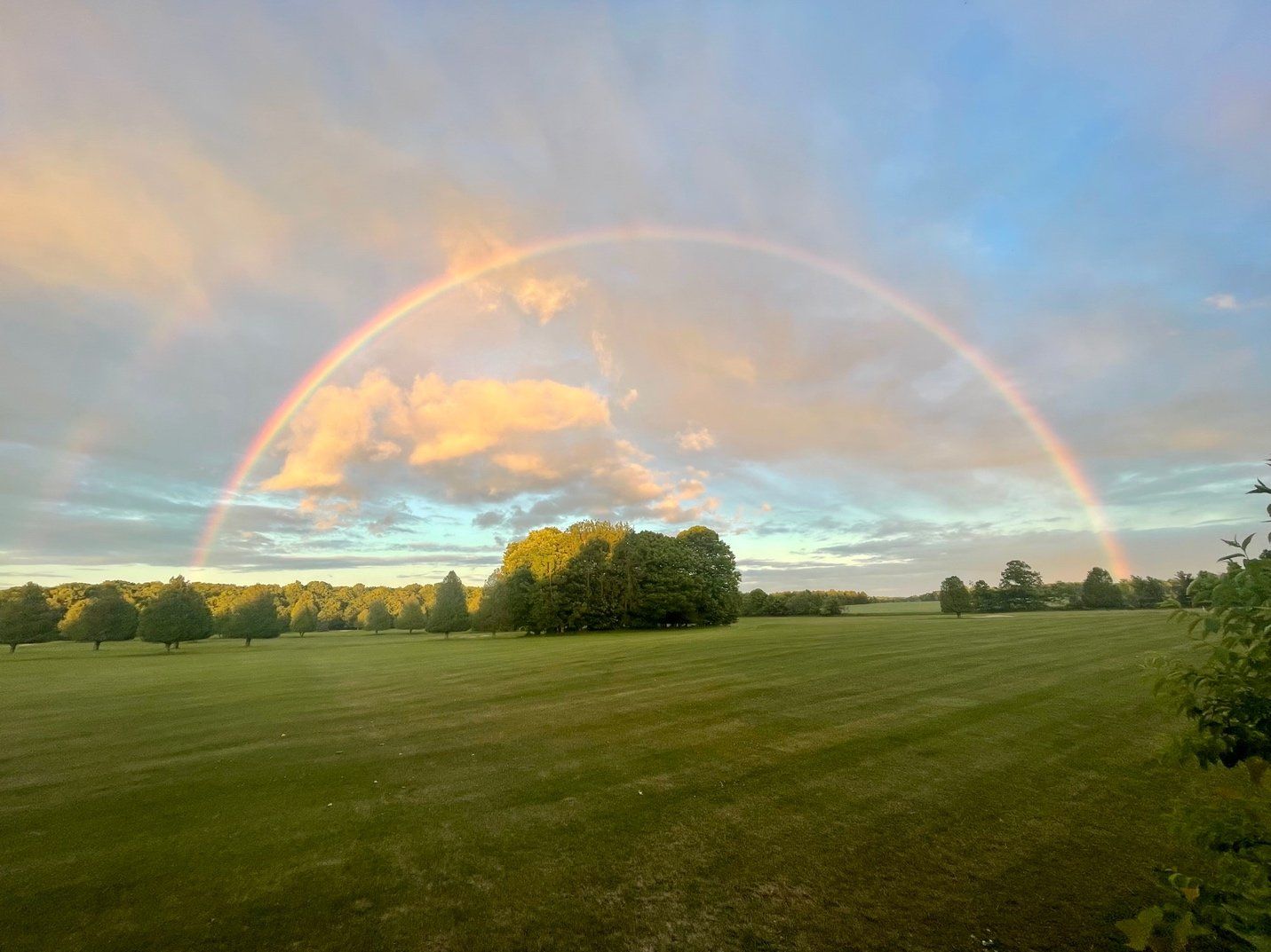 rainbow on open field