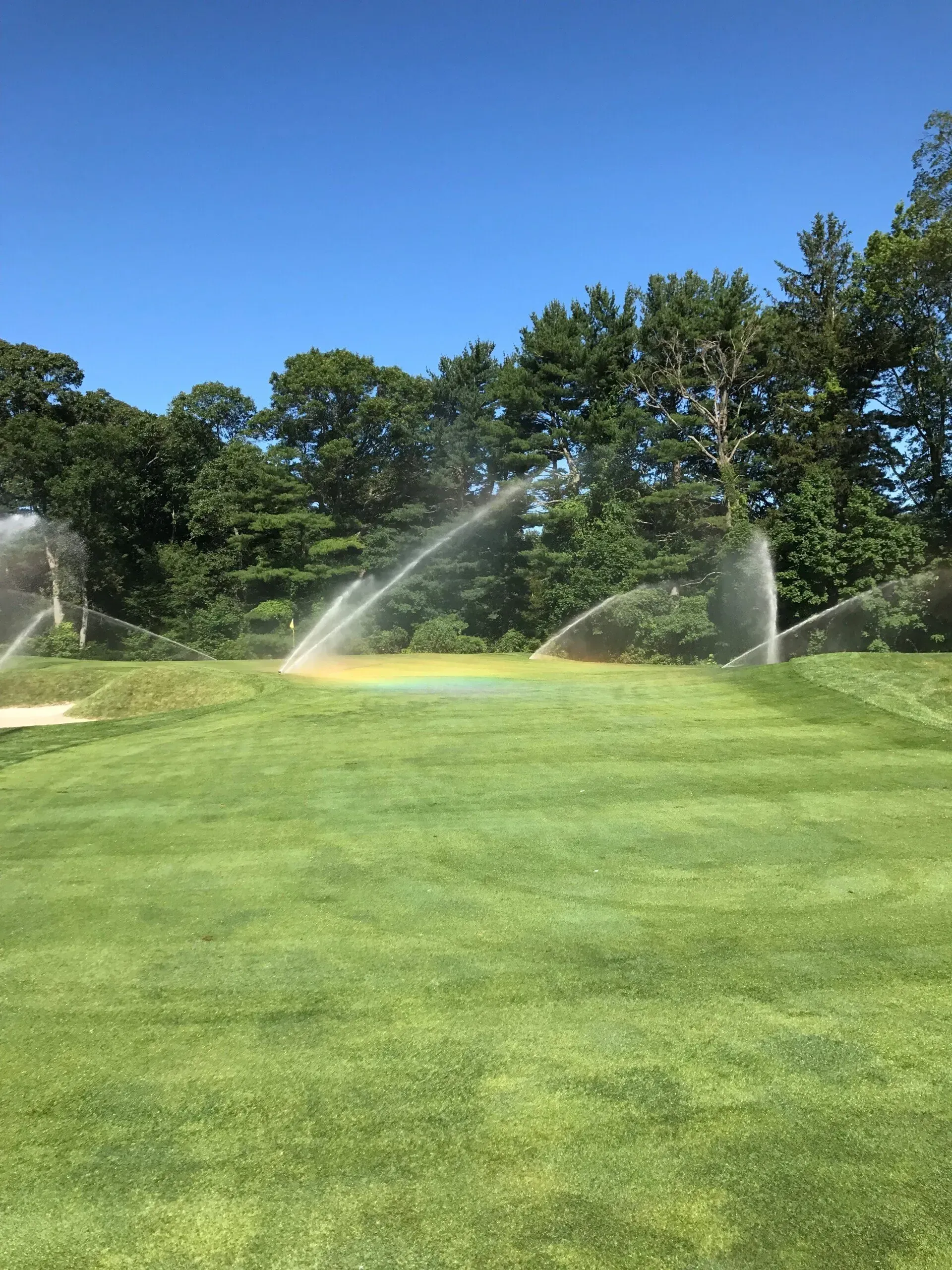 Sprinklers watering a green golf course under a blue sky, trees in the background.
