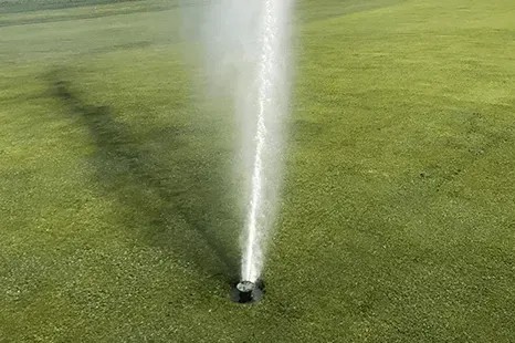 Sprinkler spraying water onto green grass on a sunny day.