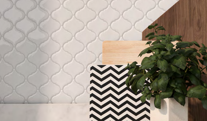 A potted plant is sitting next to a black and white tile.